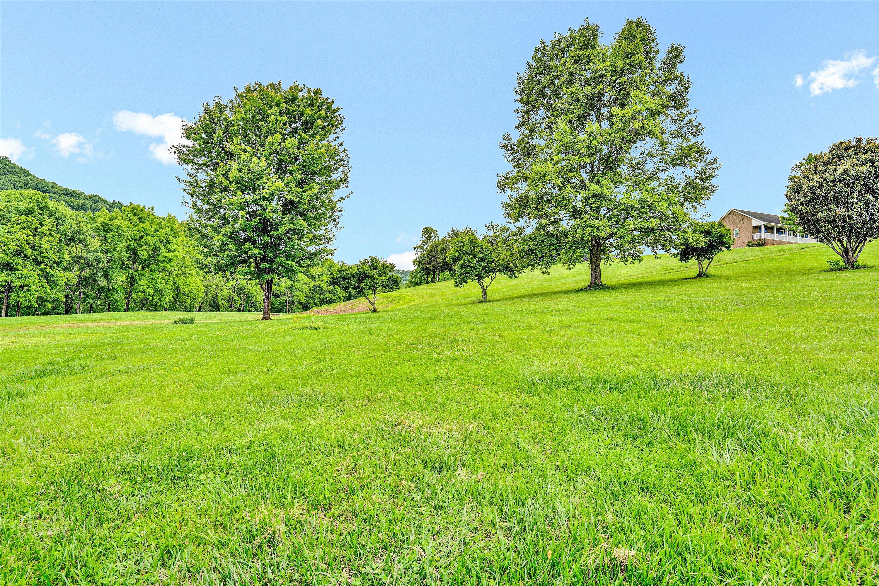 4 Arch Mill Rd, Buchanan, Virginia image 49