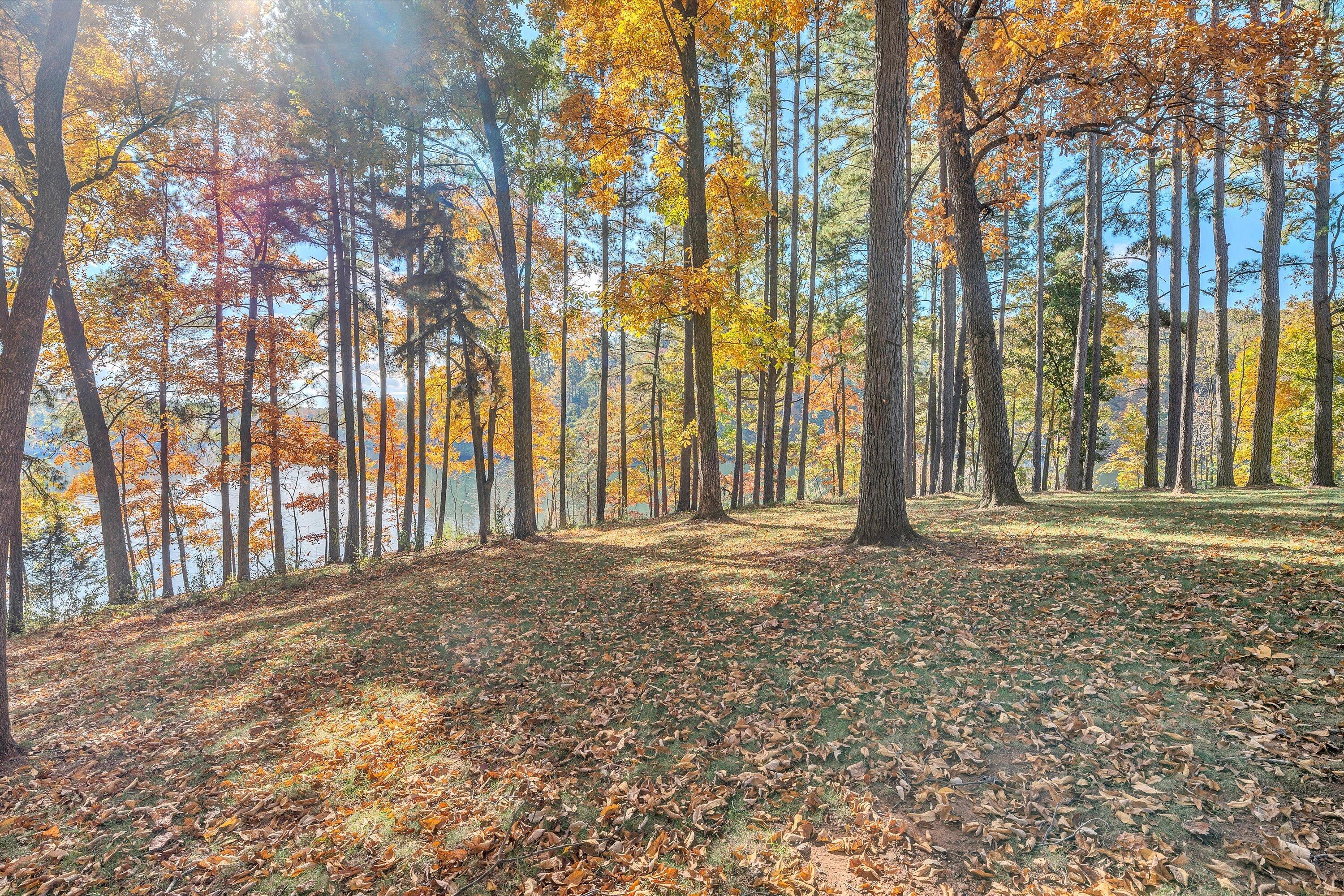 Moneta, Virginia 24121, United States, 4 Bedrooms Bedrooms, ,3 BathroomsBathrooms,Residential,Active,3324