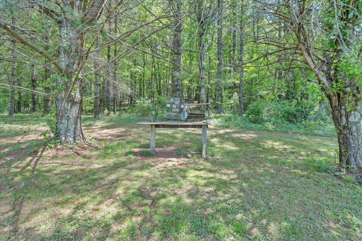 10664 Bent Mountain Rd, Bent Mountain, Virginia image 38