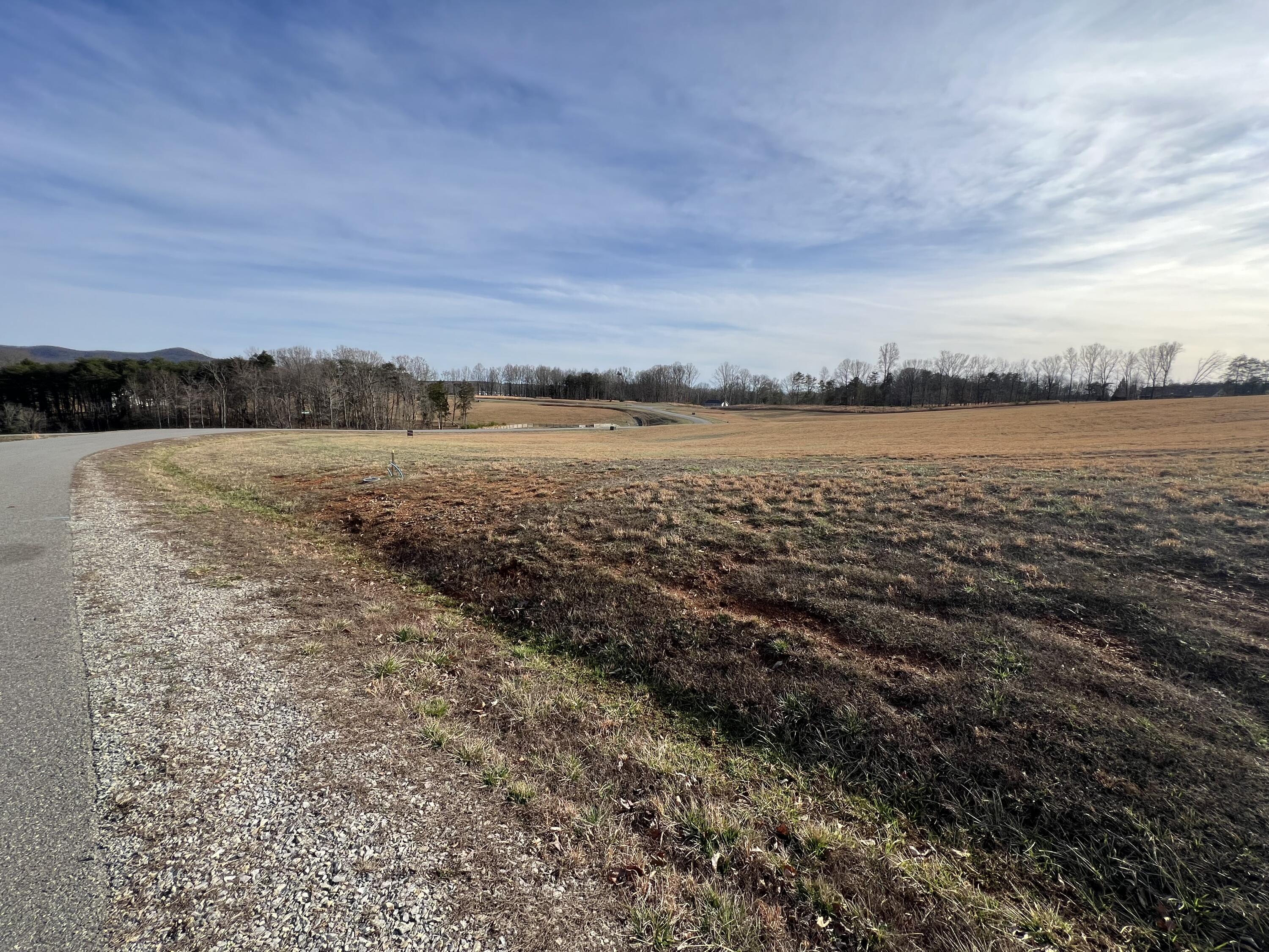 Lot 44 Congressional Way, Union Hall, Virginia image 5