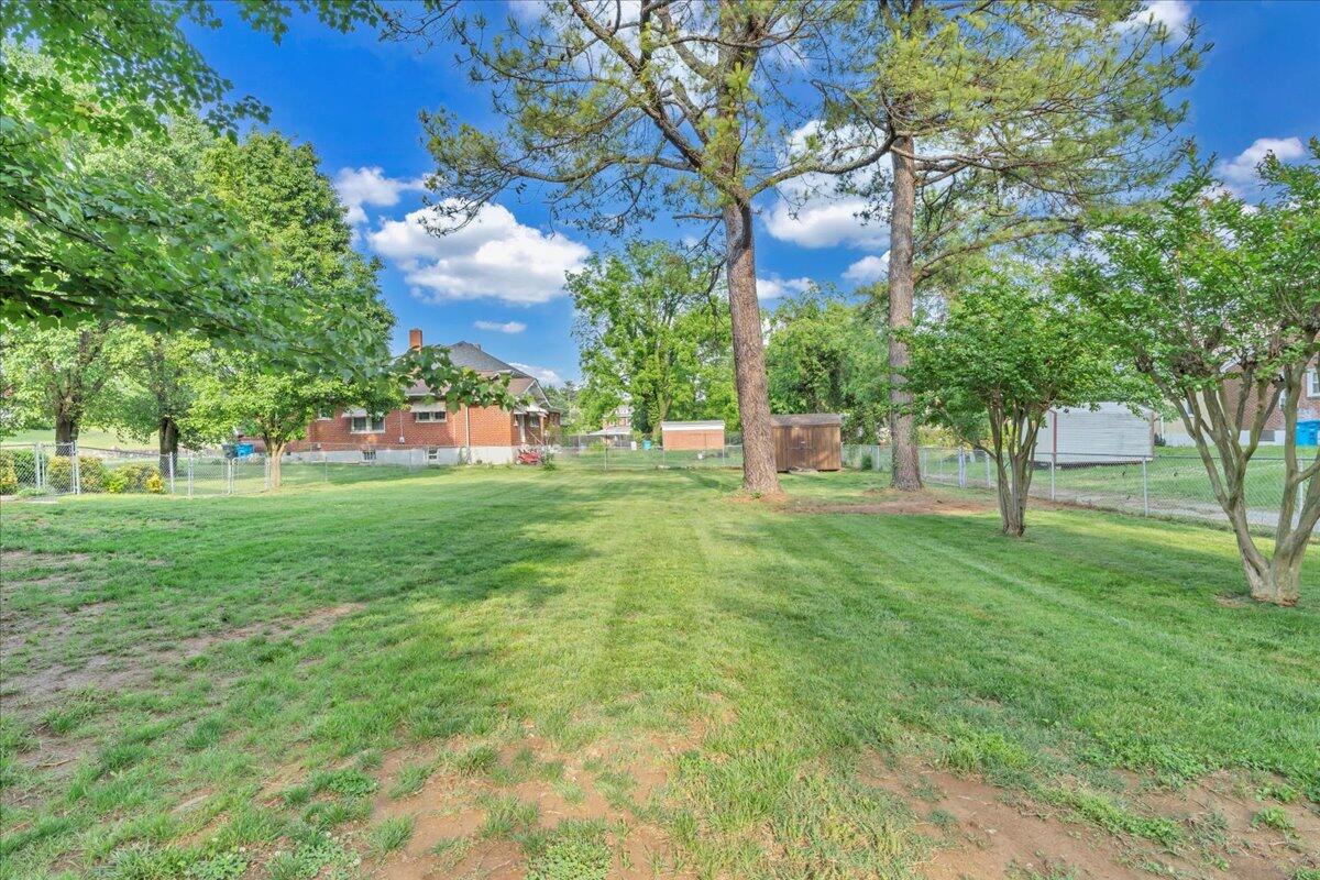 1028 Grayson Ave, Roanoke, Virginia image 35