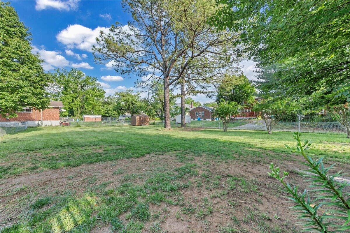 1028 Grayson Ave, Roanoke, Virginia image 30