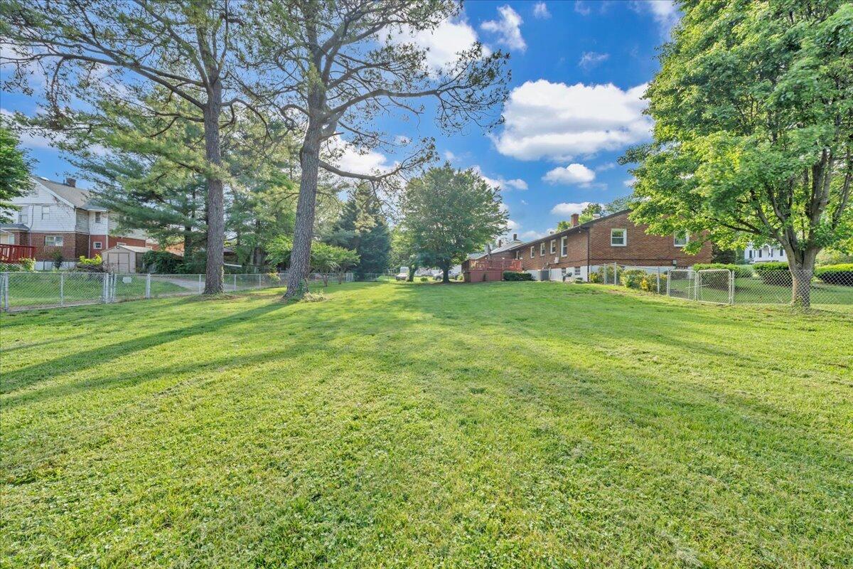 1028 Grayson Ave, Roanoke, Virginia image 31
