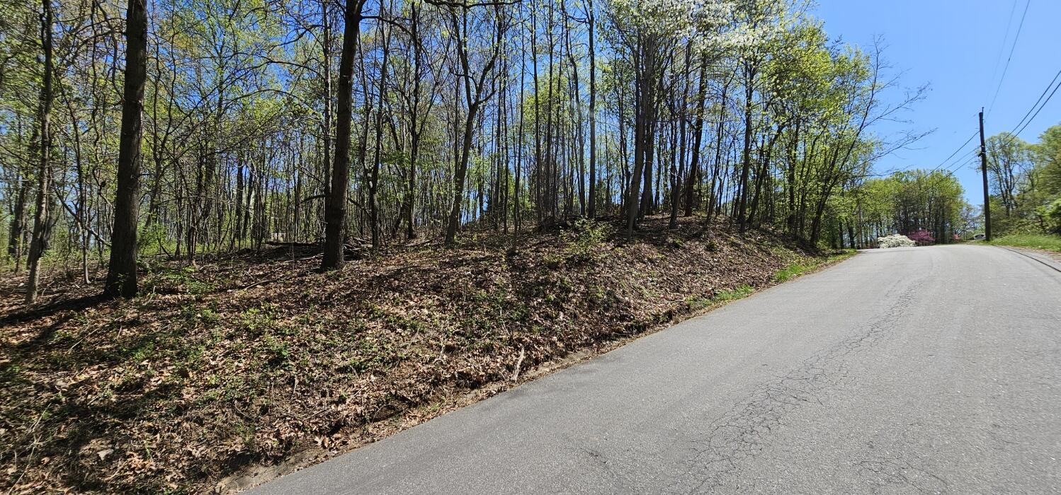 Yale Dr, Salem, Virginia image 11