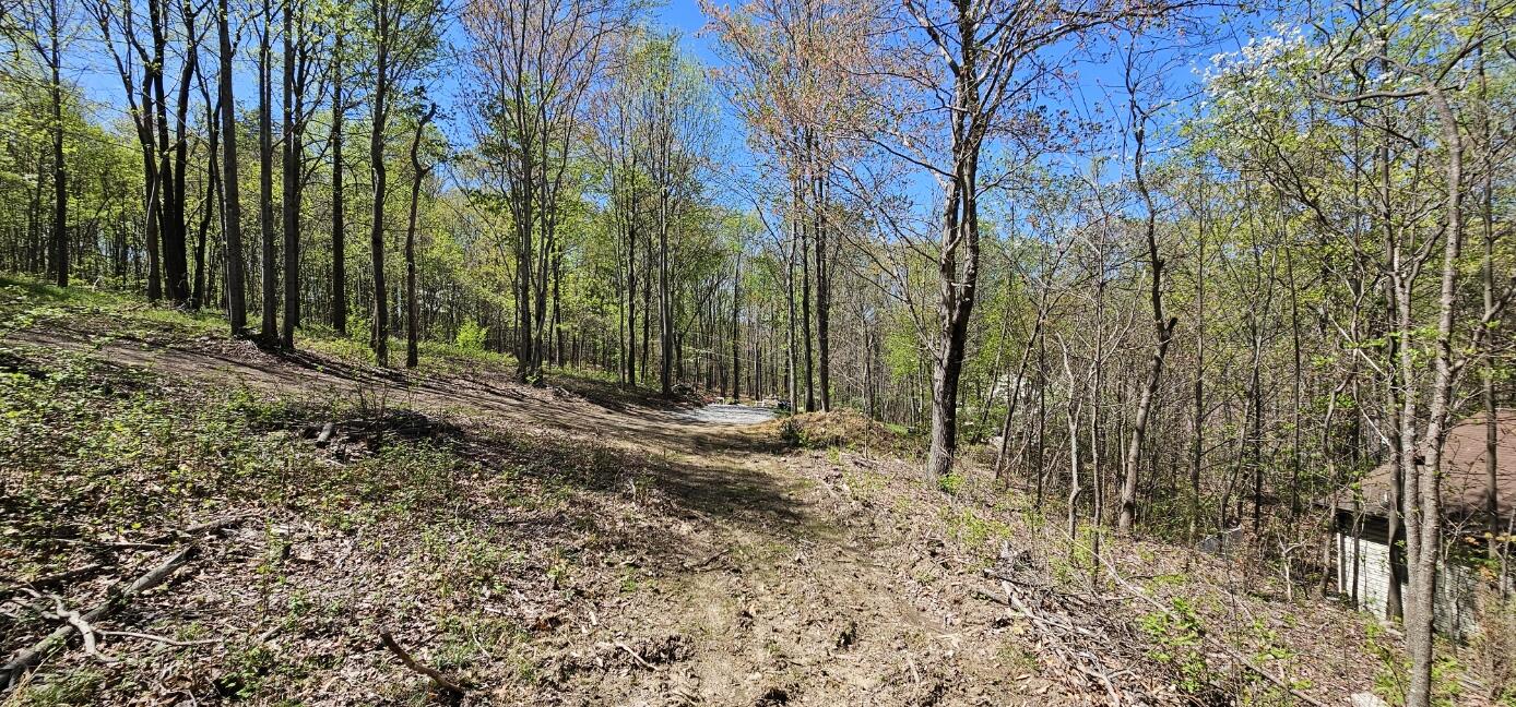 Yale Dr, Salem, Virginia image 6