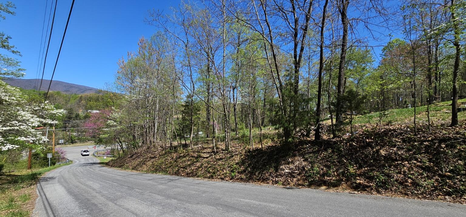 Yale Dr, Salem, Virginia image 14
