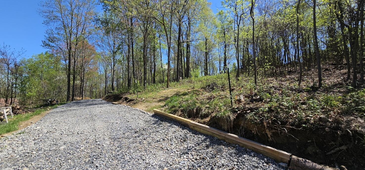Yale Dr, Salem, Virginia image 2