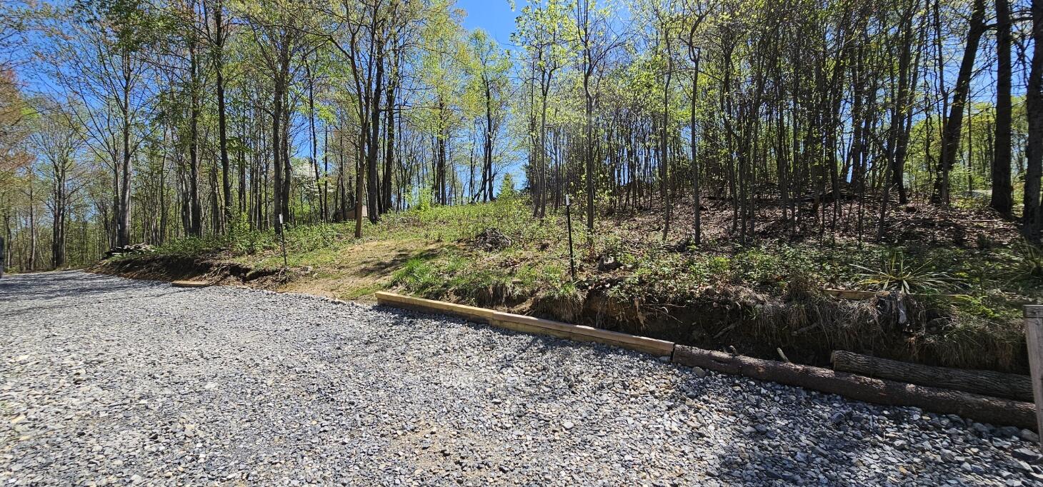 Yale Dr, Salem, Virginia image 3