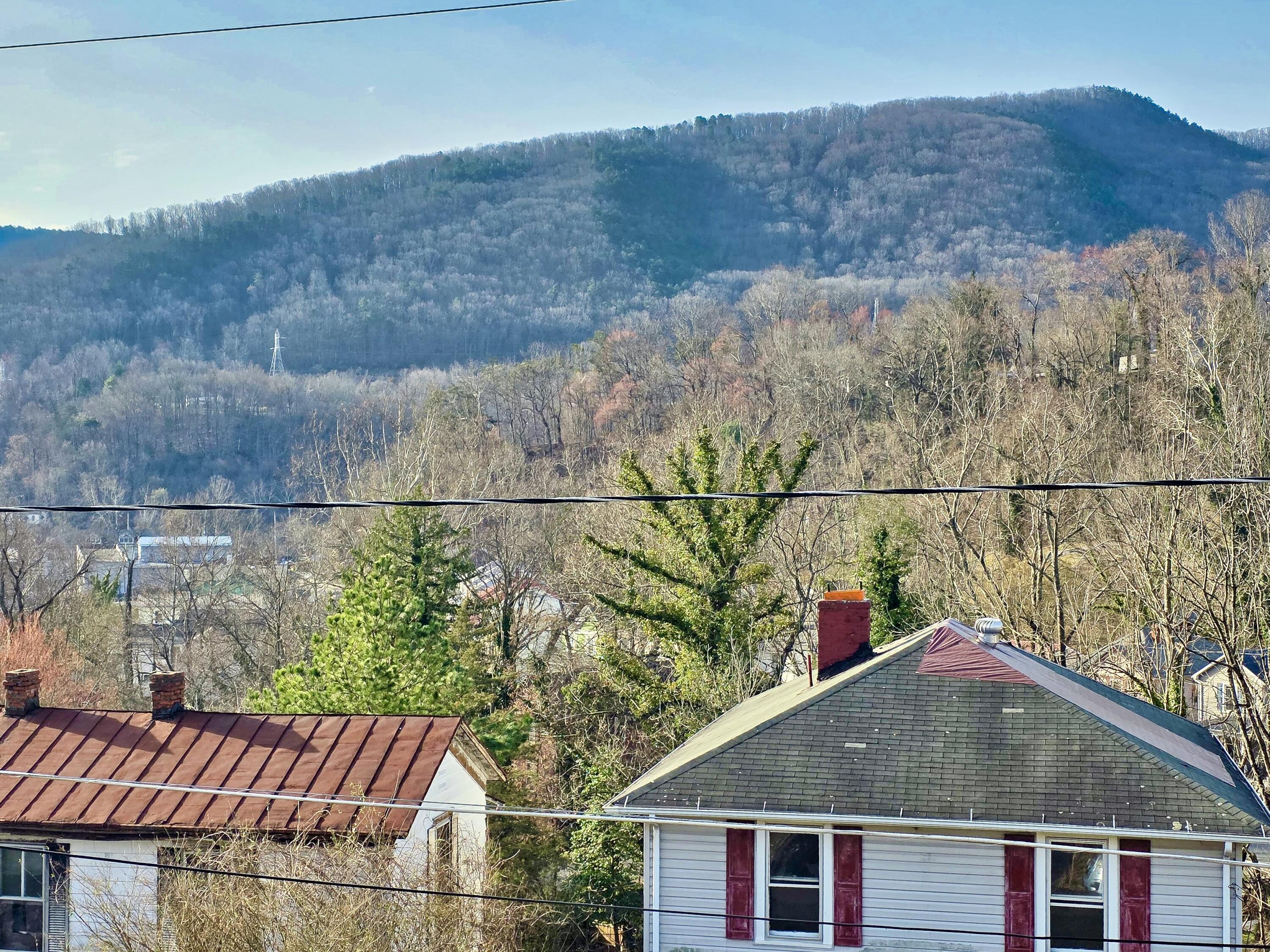 100 W Pine St, Clifton Forge, Virginia image 2
