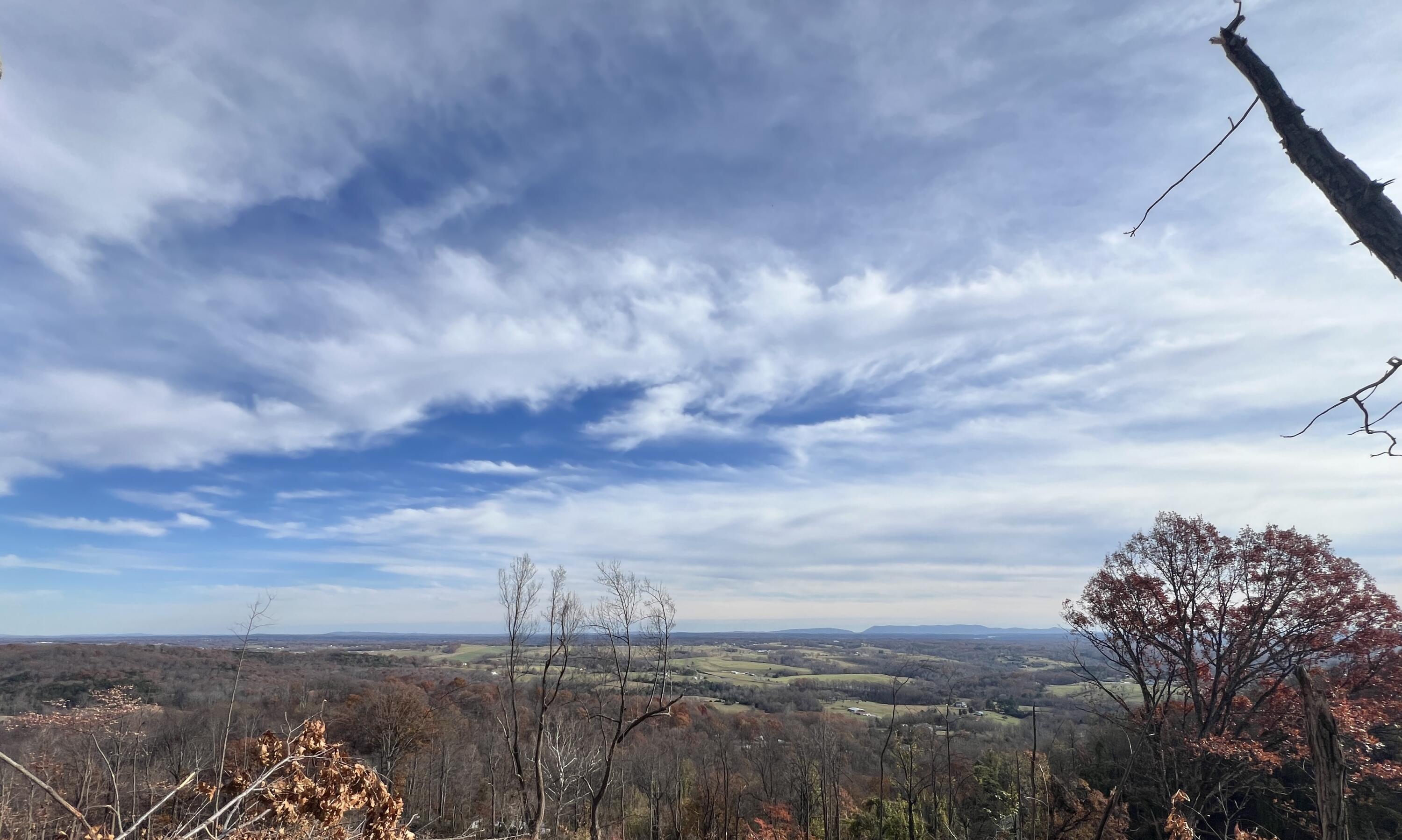 Mill Iron Rd, Goodview, Virginia image 8