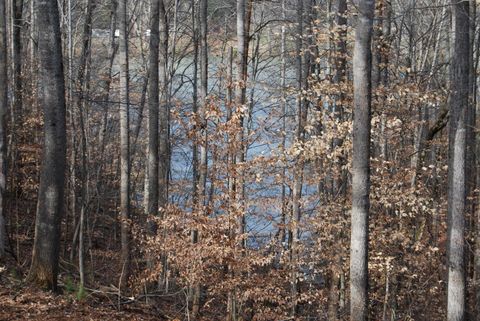 Vacant Land For Sale - LOT 10 Lake Knoll Rd<br/> Union Hall, VA 24176