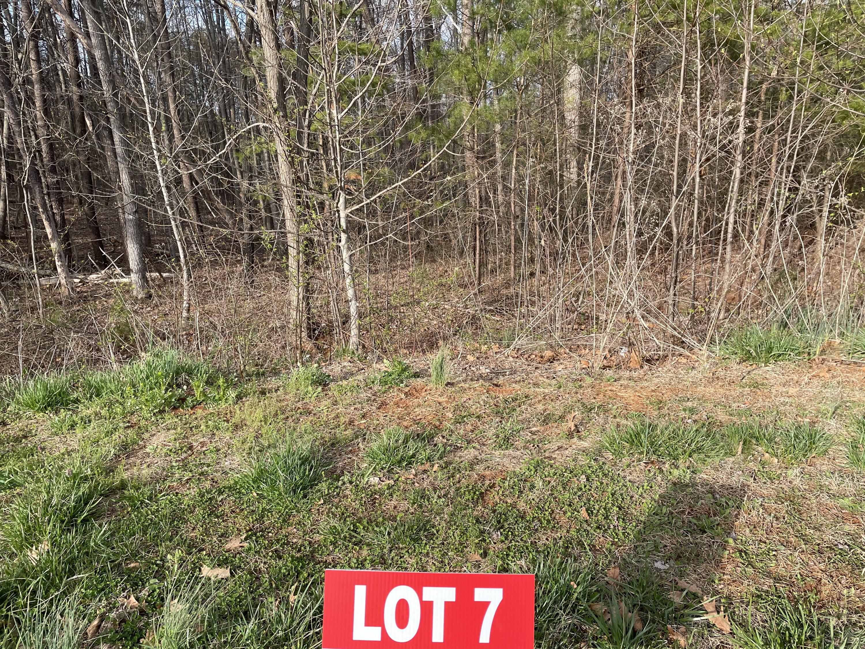 Lot 7 Belvior Cir, Moneta, Virginia image 1