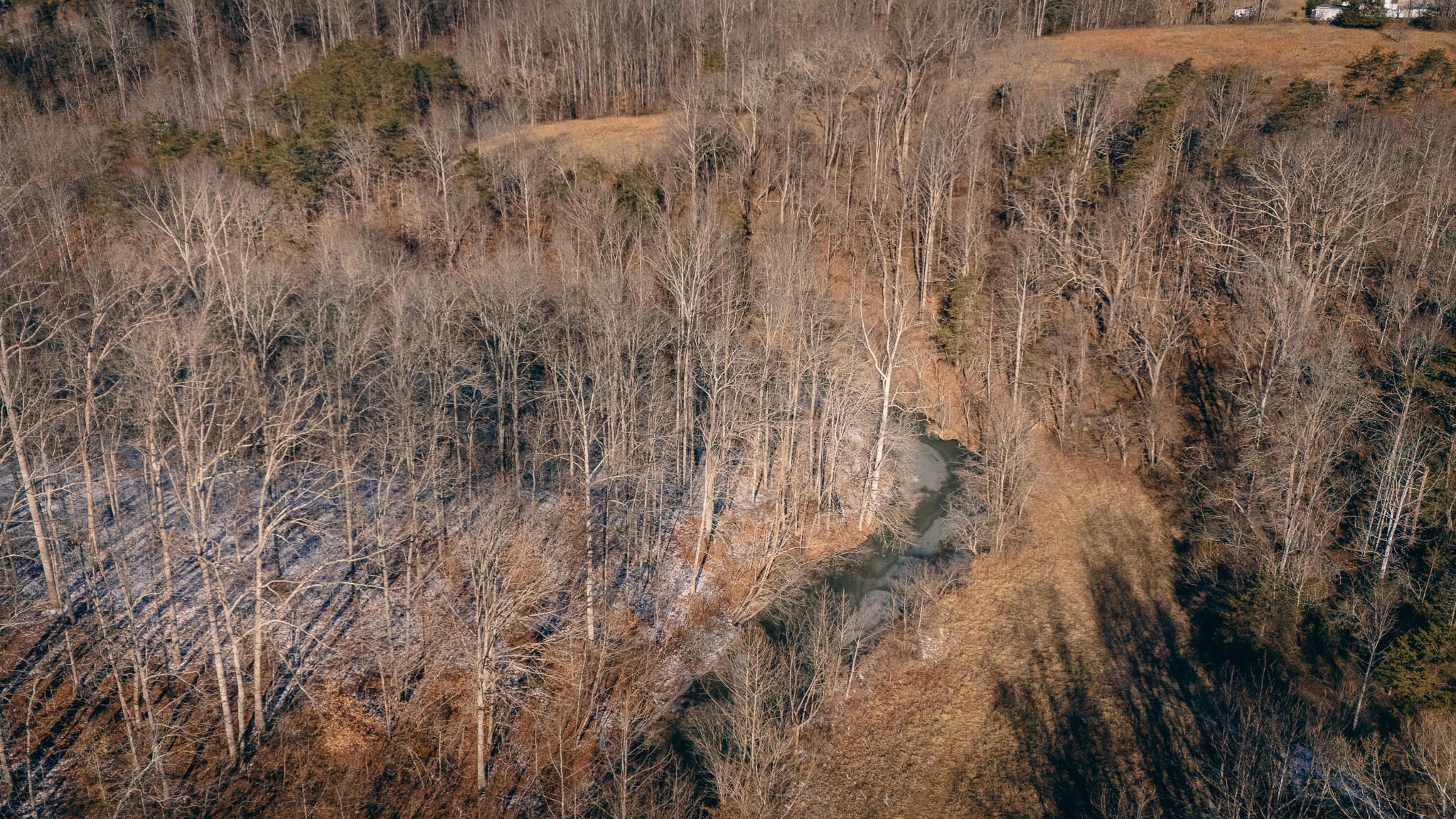 Navagation Point Dr, Goodview, Virginia image 18