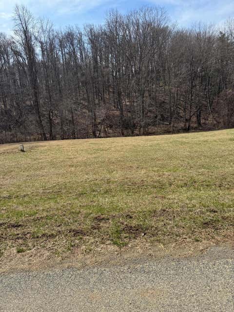 Vacant Land For Sale - Foothills Rd<br/> Callaway, VA 24067