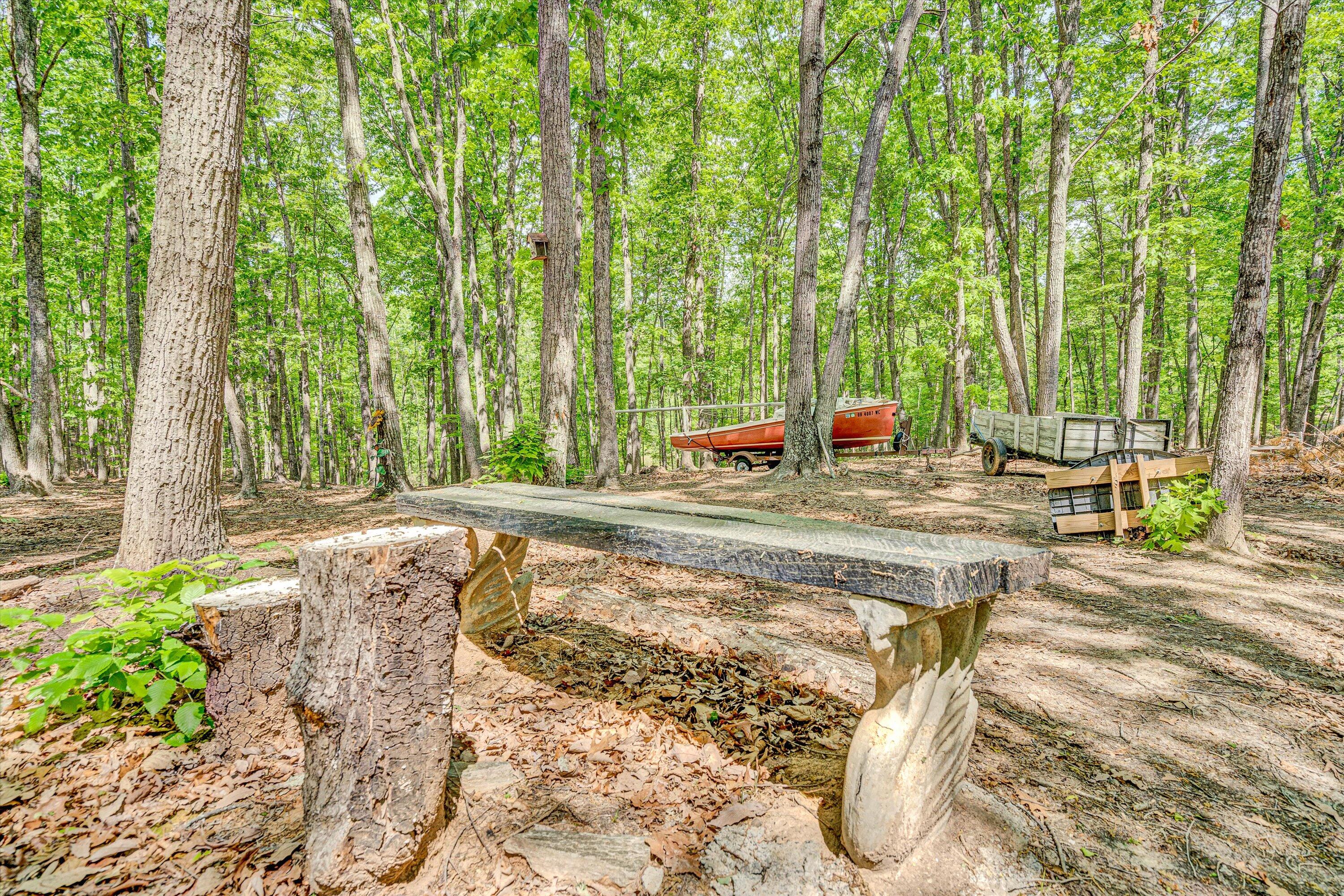 1393 Deepwoods Rd, Hardy, Virginia image 45
