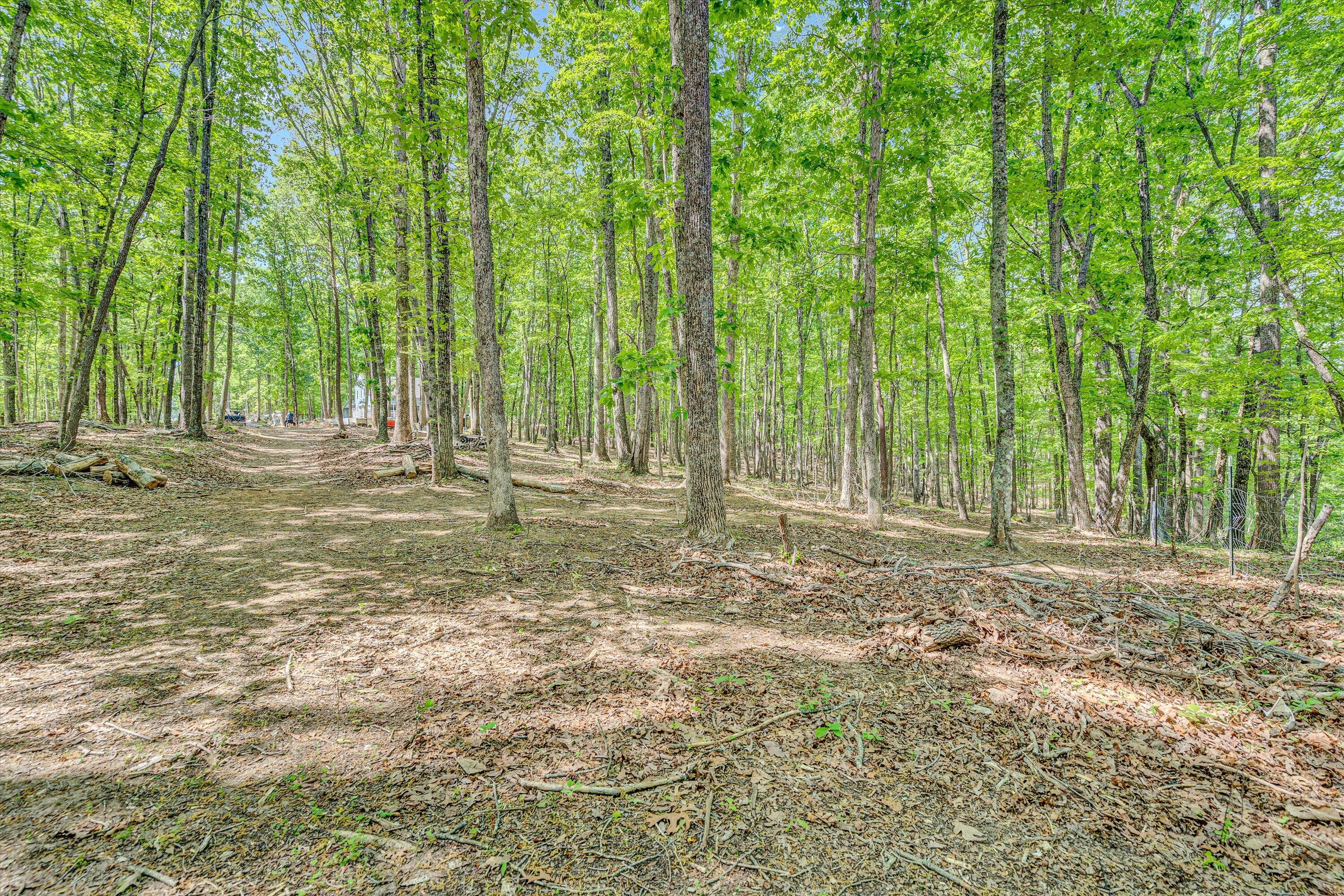 1393 Deepwoods Rd, Hardy, Virginia image 42
