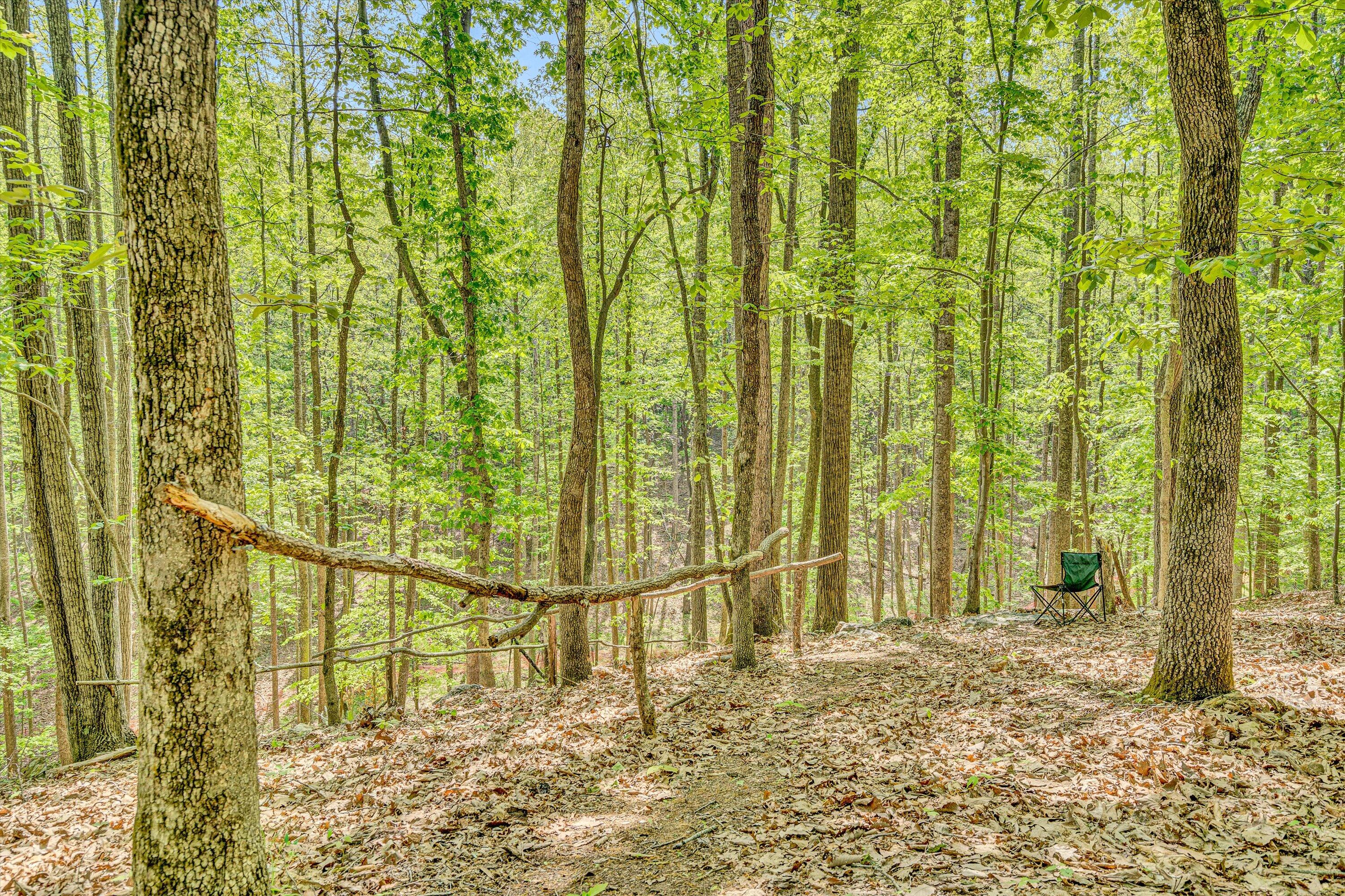 1393 Deepwoods Rd, Hardy, Virginia image 36