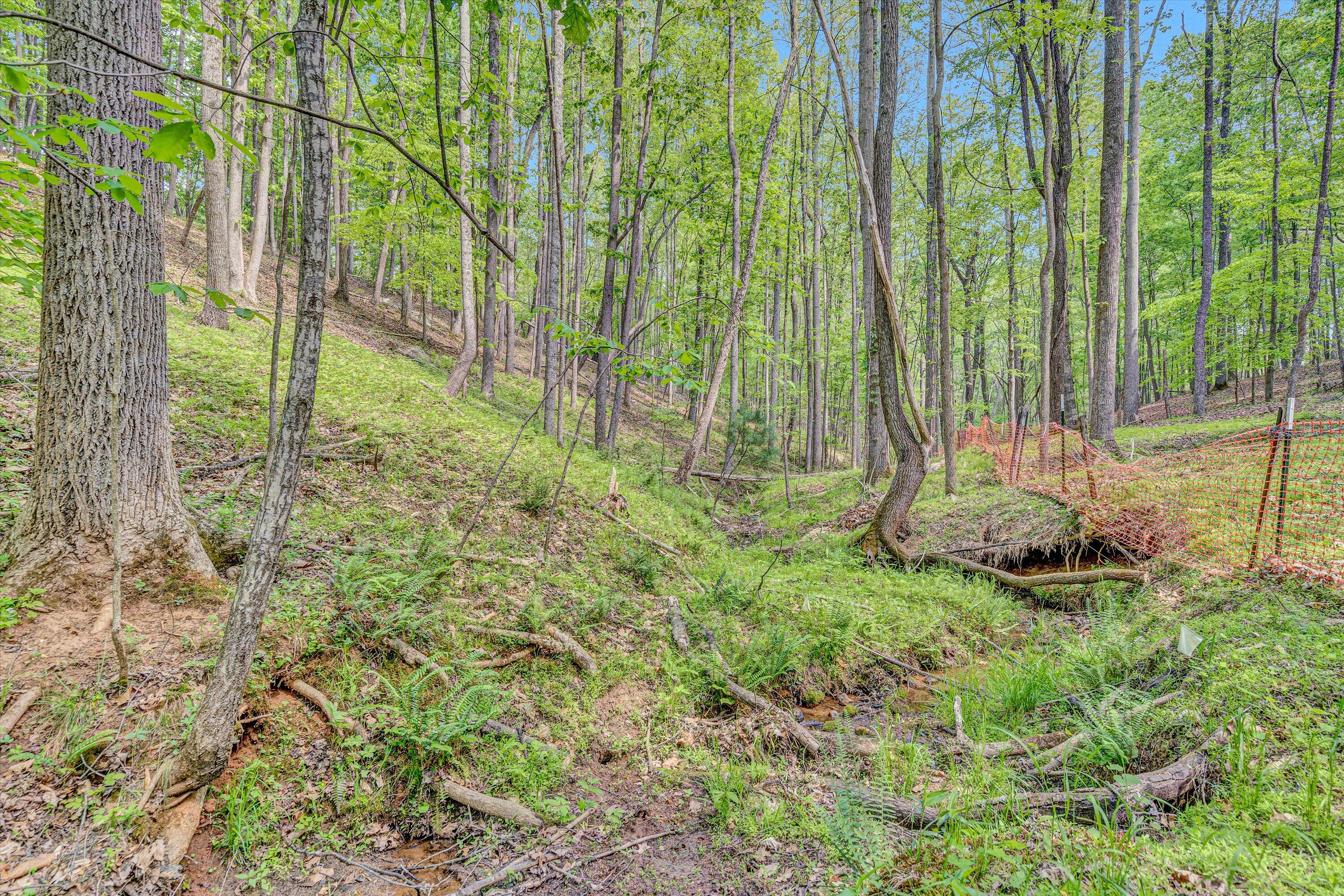 1393 Deepwoods Rd, Hardy, Virginia image 39