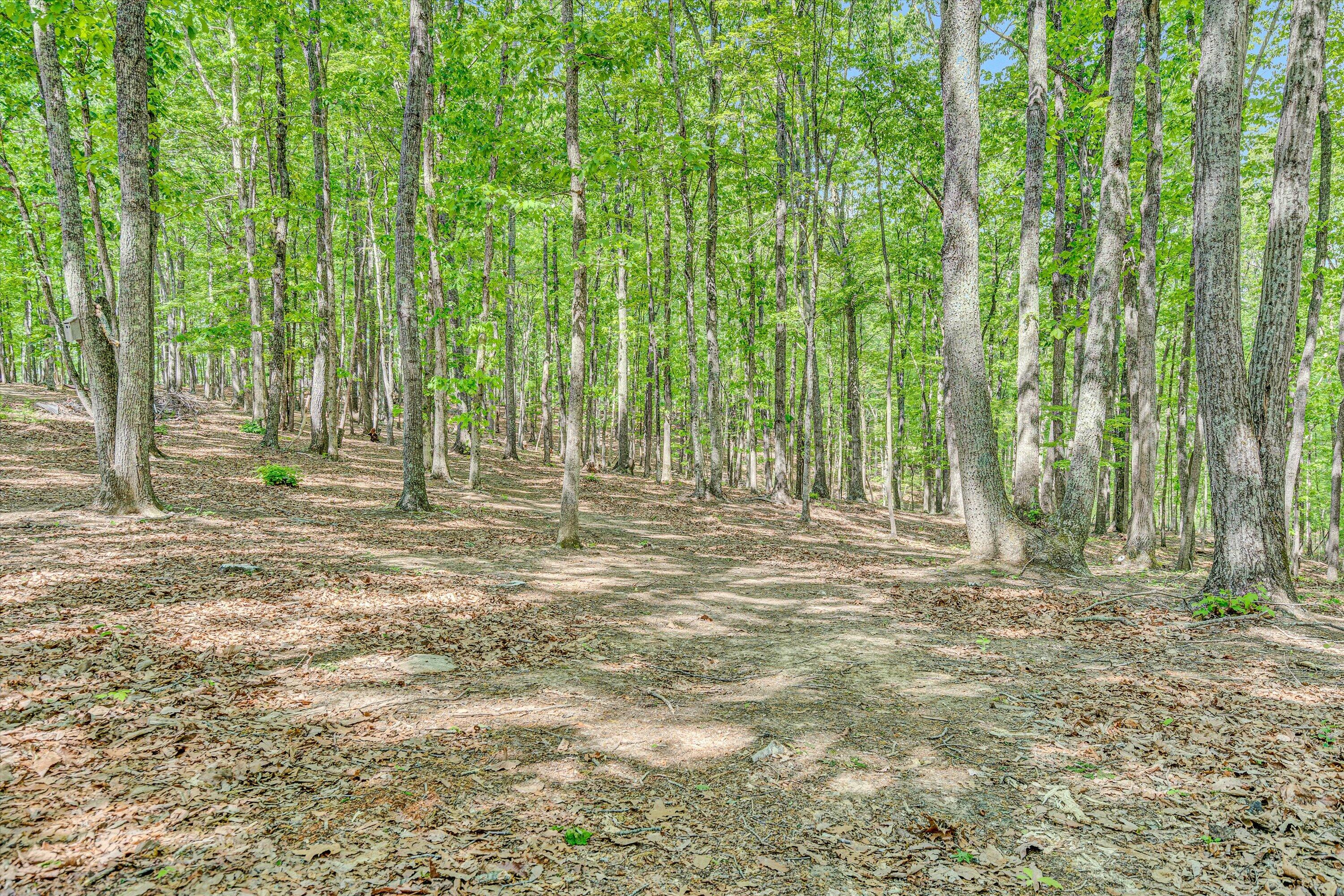 1393 Deepwoods Rd, Hardy, Virginia image 44