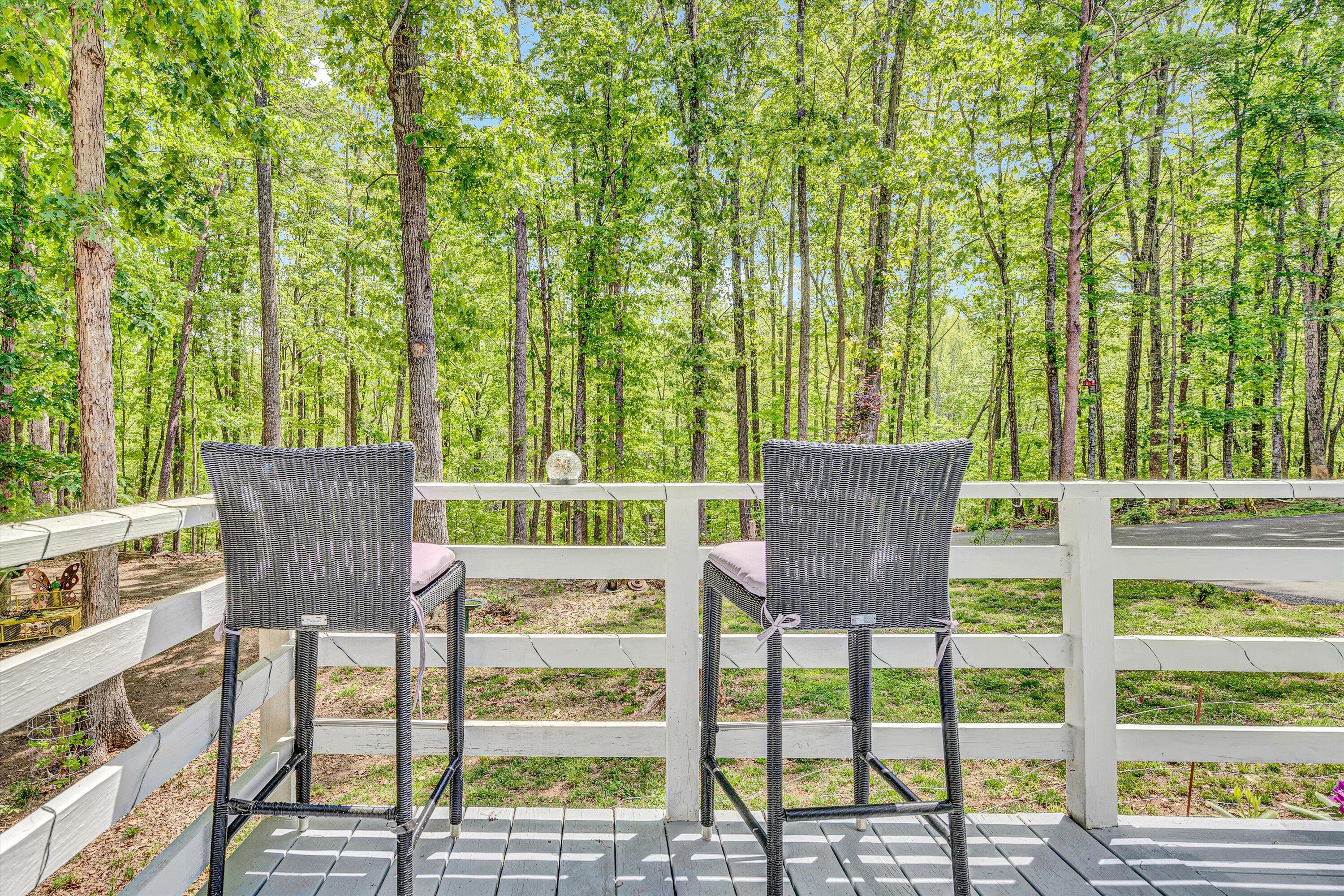 1393 Deepwoods Rd, Hardy, Virginia image 27