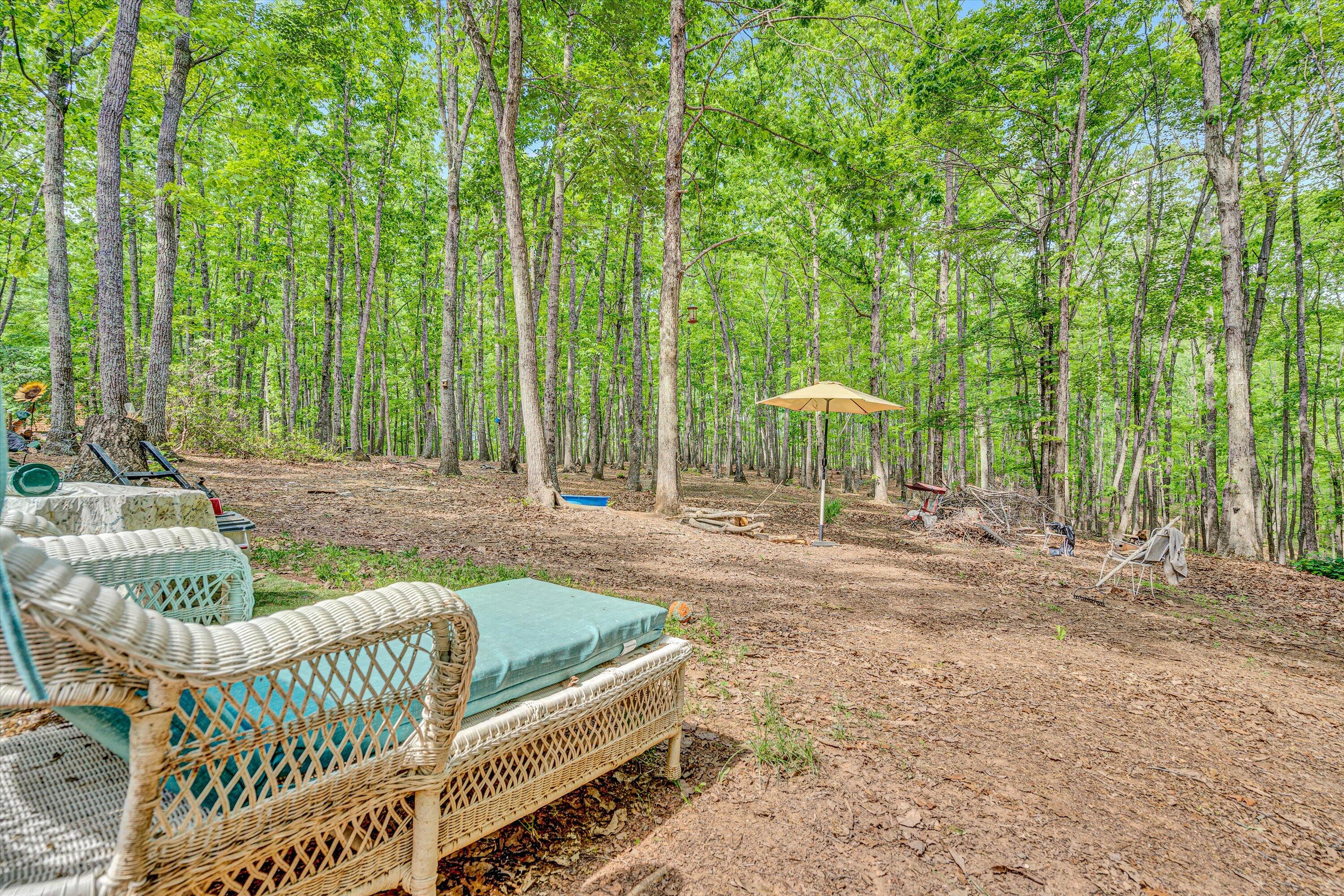 1393 Deepwoods Rd, Hardy, Virginia image 29