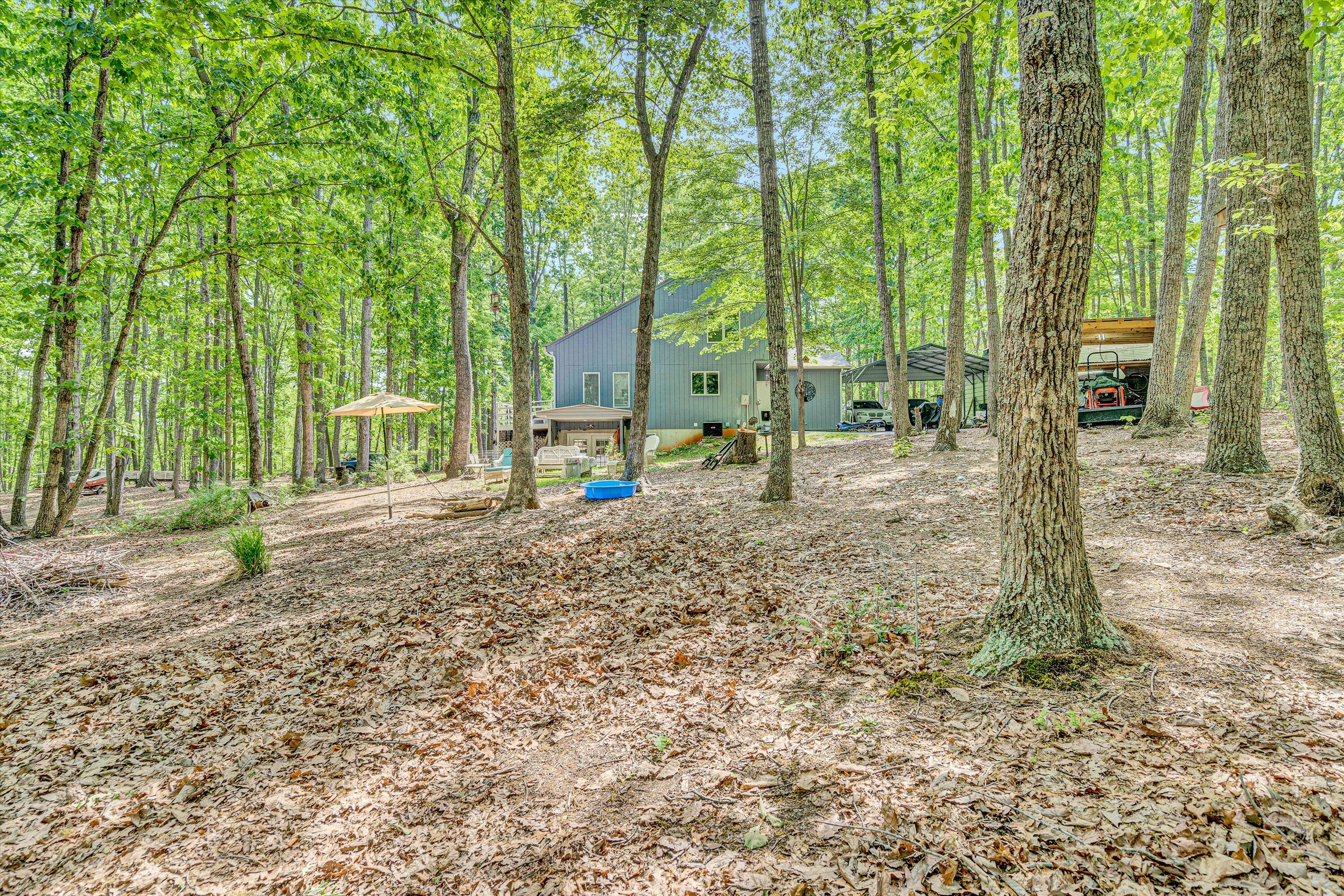 1393 Deepwoods Rd, Hardy, Virginia image 35
