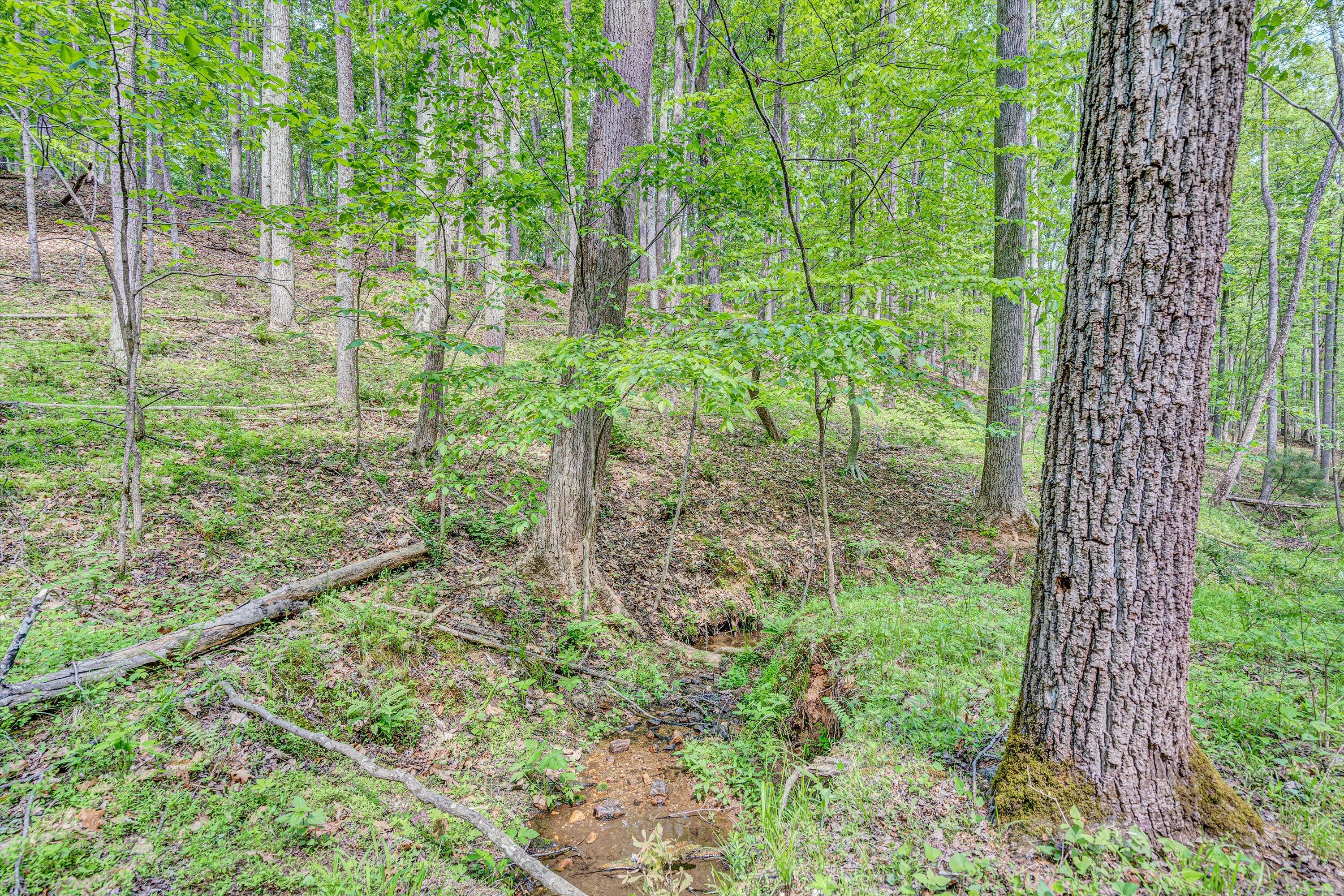 1393 Deepwoods Rd, Hardy, Virginia image 38