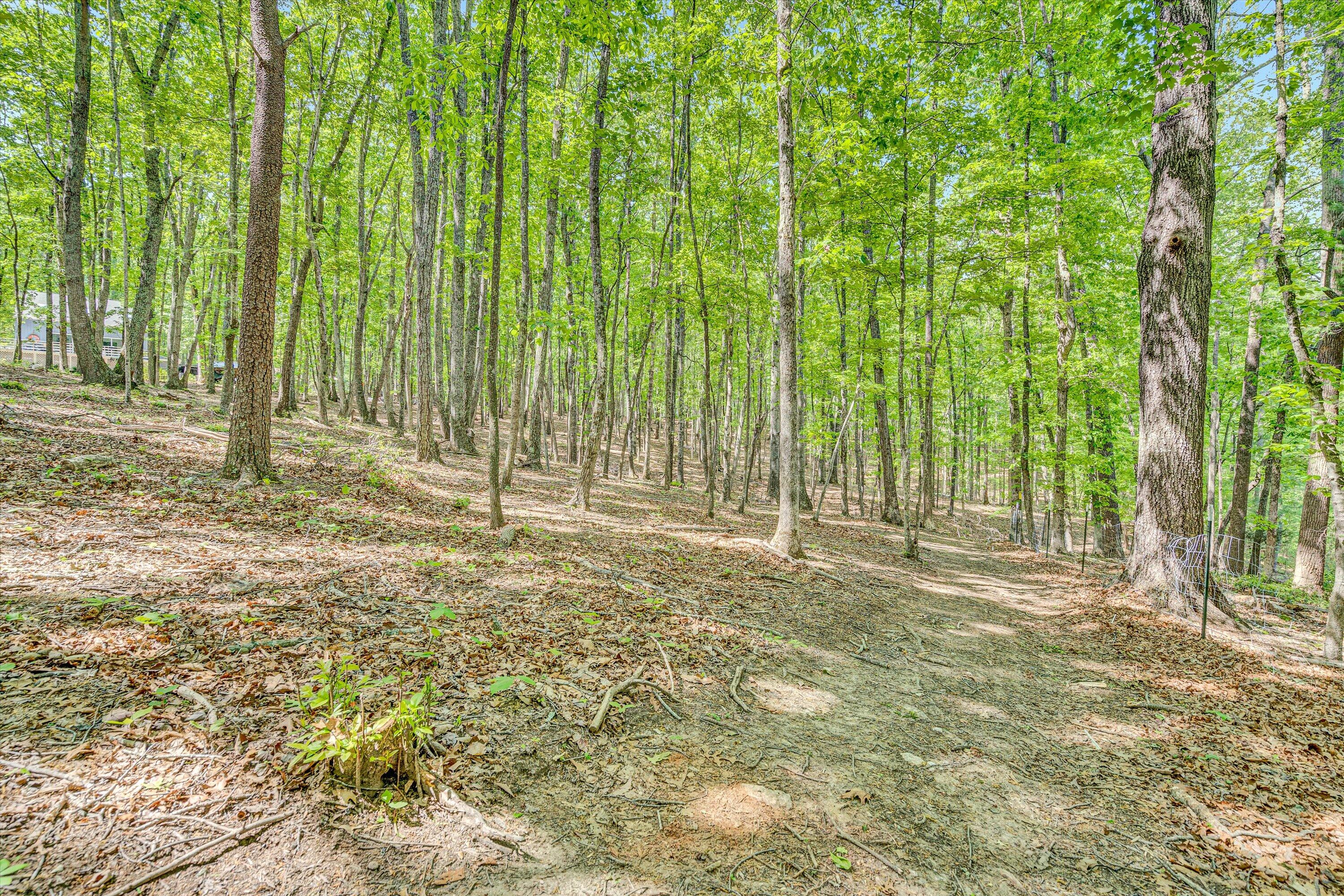 1393 Deepwoods Rd, Hardy, Virginia image 43