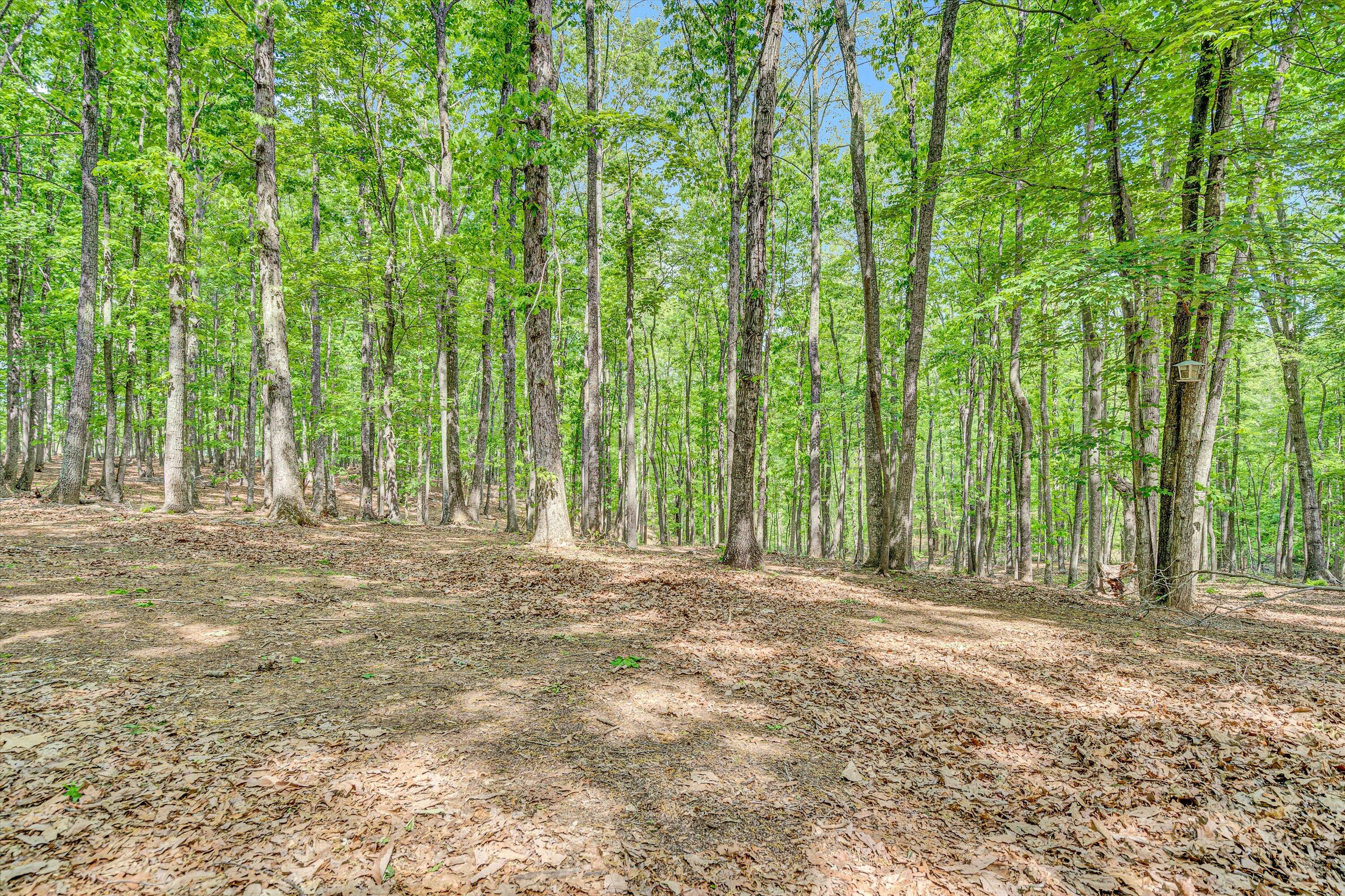 1393 Deepwoods Rd, Hardy, Virginia image 34