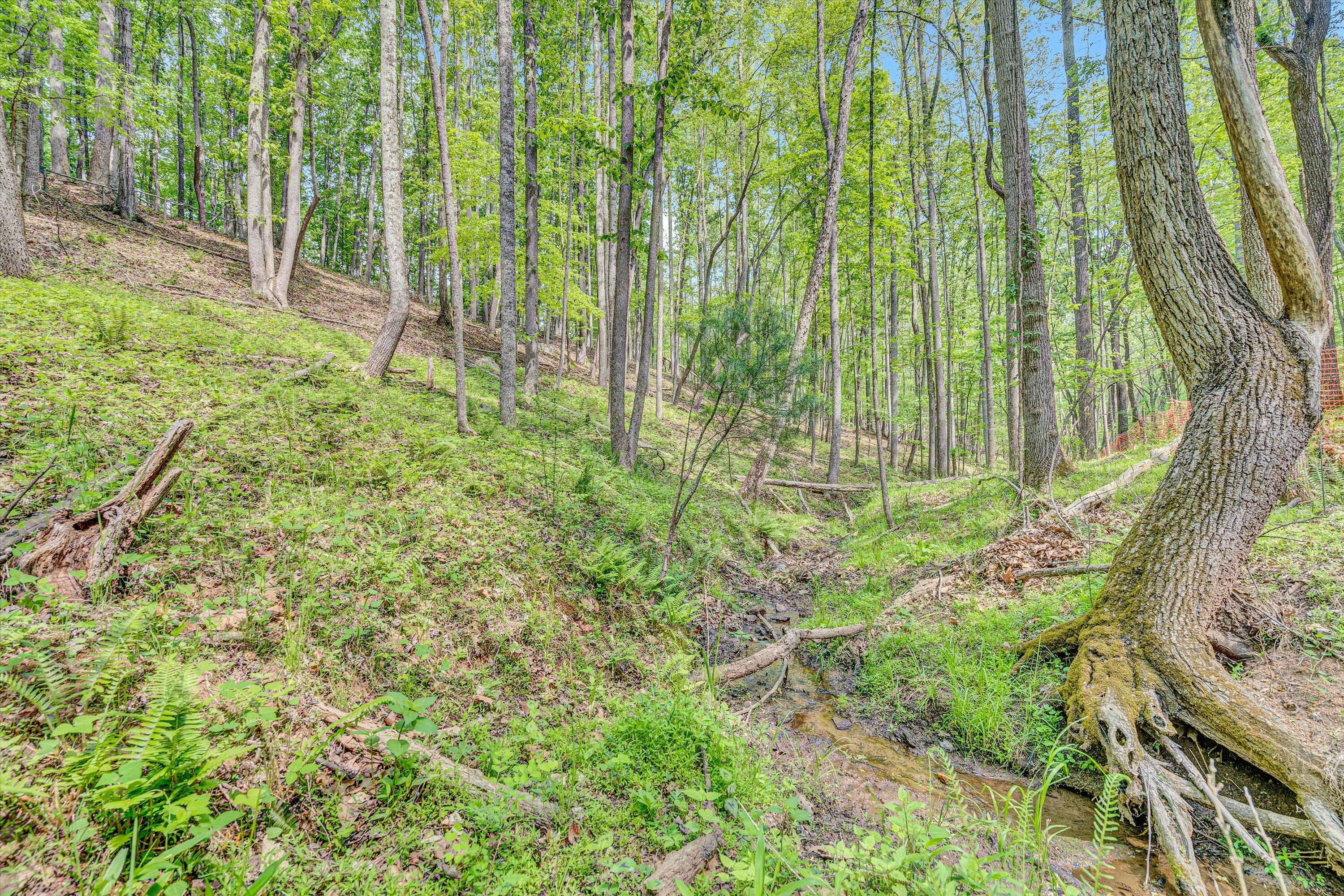1393 Deepwoods Rd, Hardy, Virginia image 40