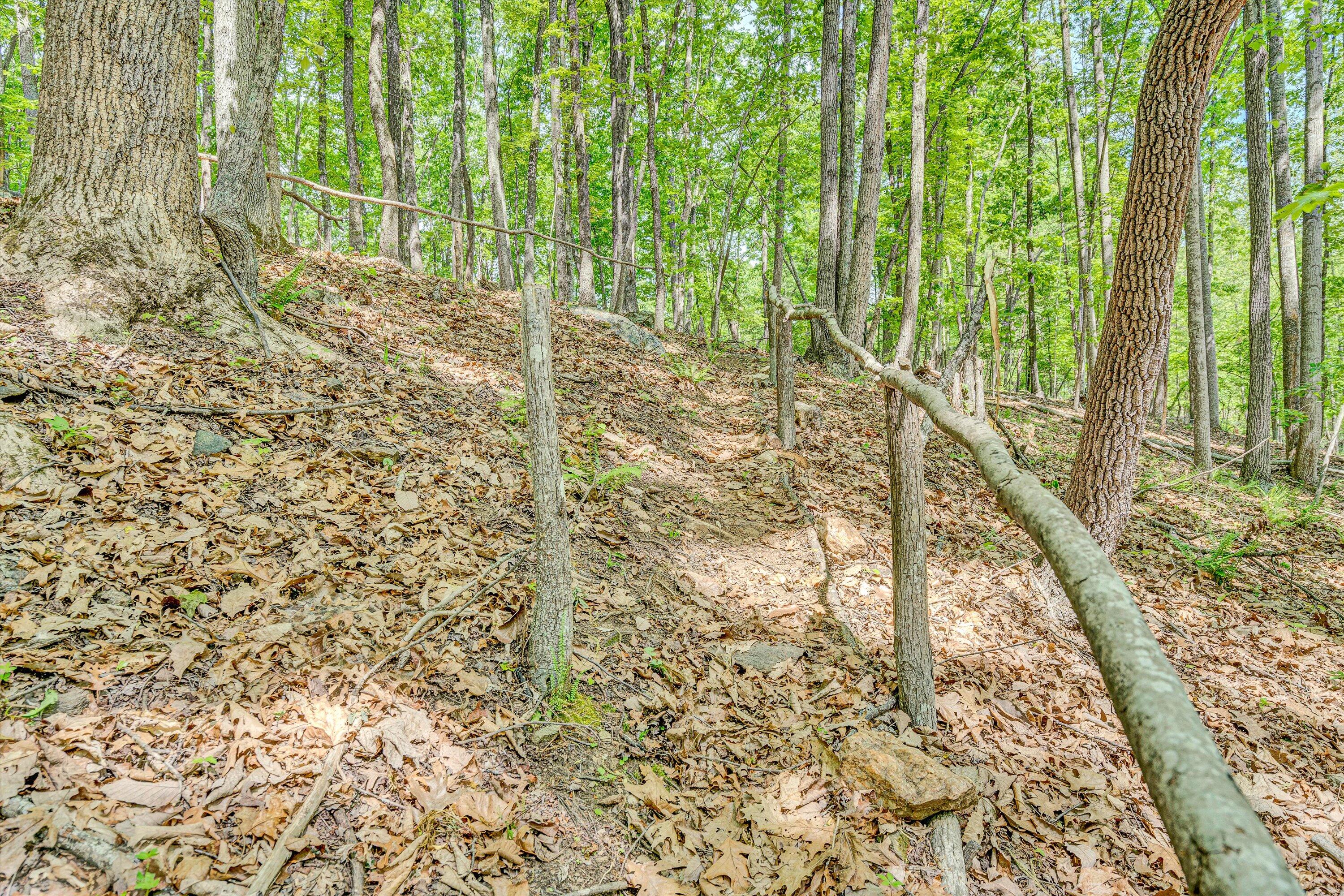 1393 Deepwoods Rd, Hardy, Virginia image 41