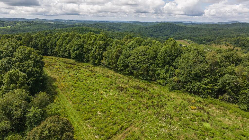 Football Ln, Laurel Fork, Virginia image 29