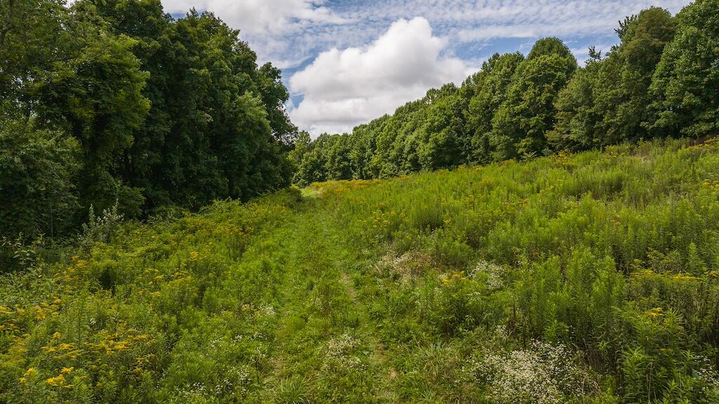 Football Ln, Laurel Fork, Virginia image 4