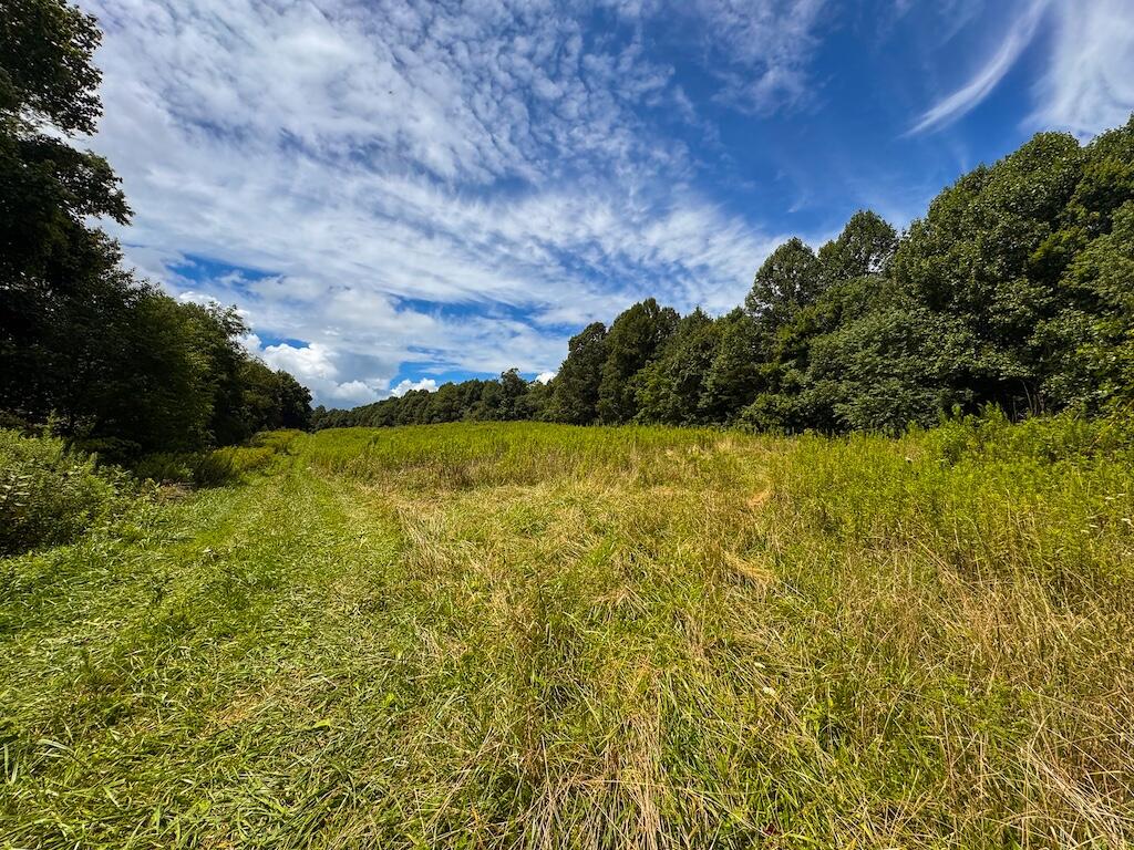 Football Ln, Laurel Fork, Virginia image 34