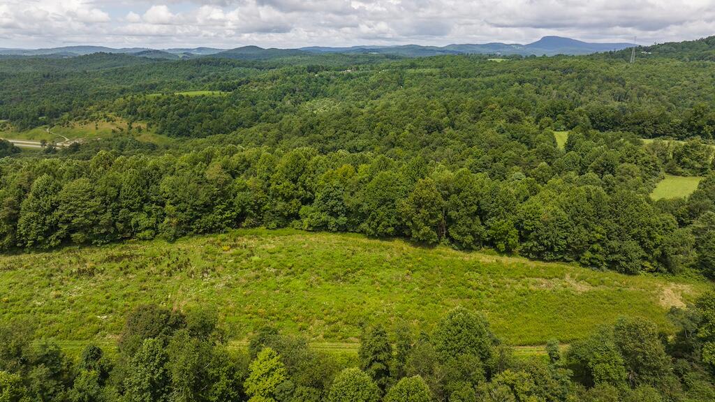 Football Ln, Laurel Fork, Virginia image 30