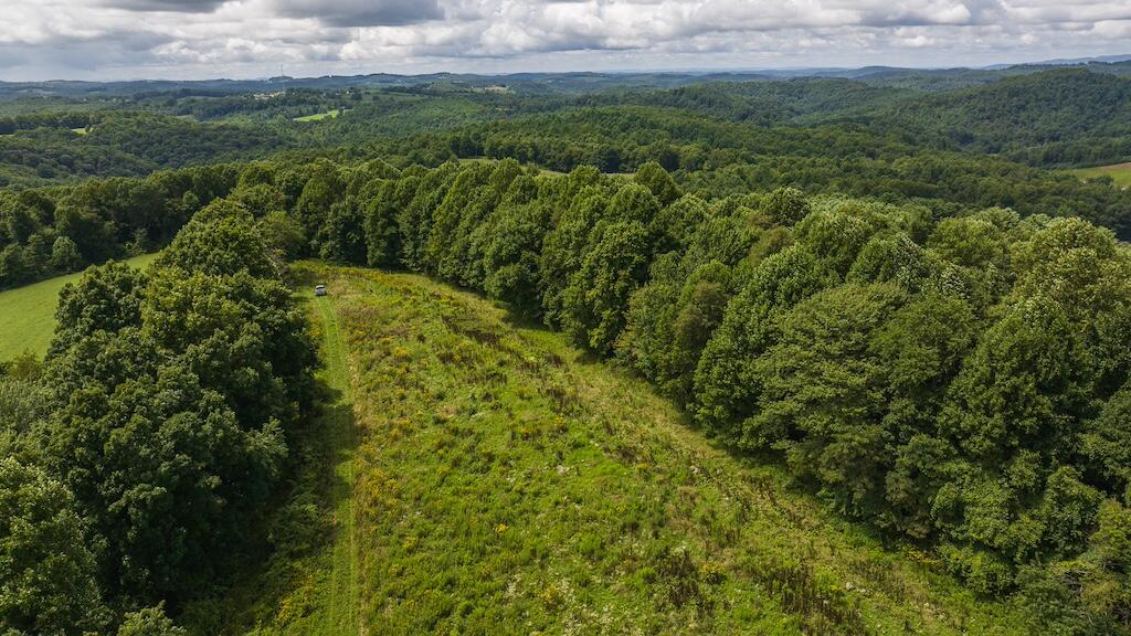 Football Ln, Laurel Fork, Virginia image 32