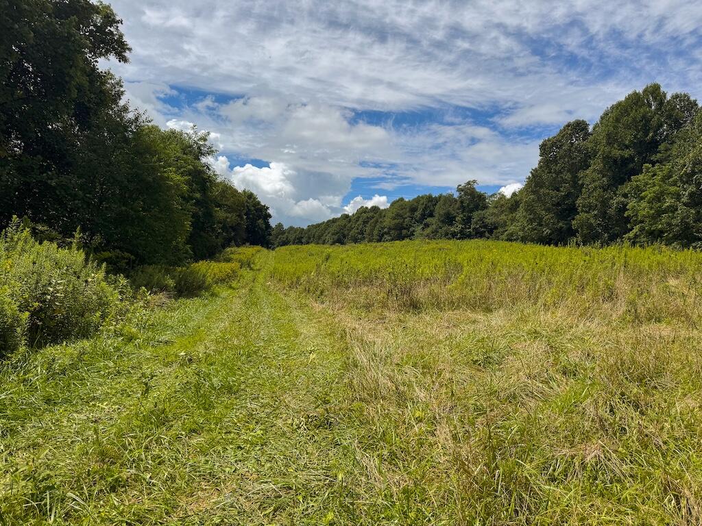 Football Ln, Laurel Fork, Virginia image 33