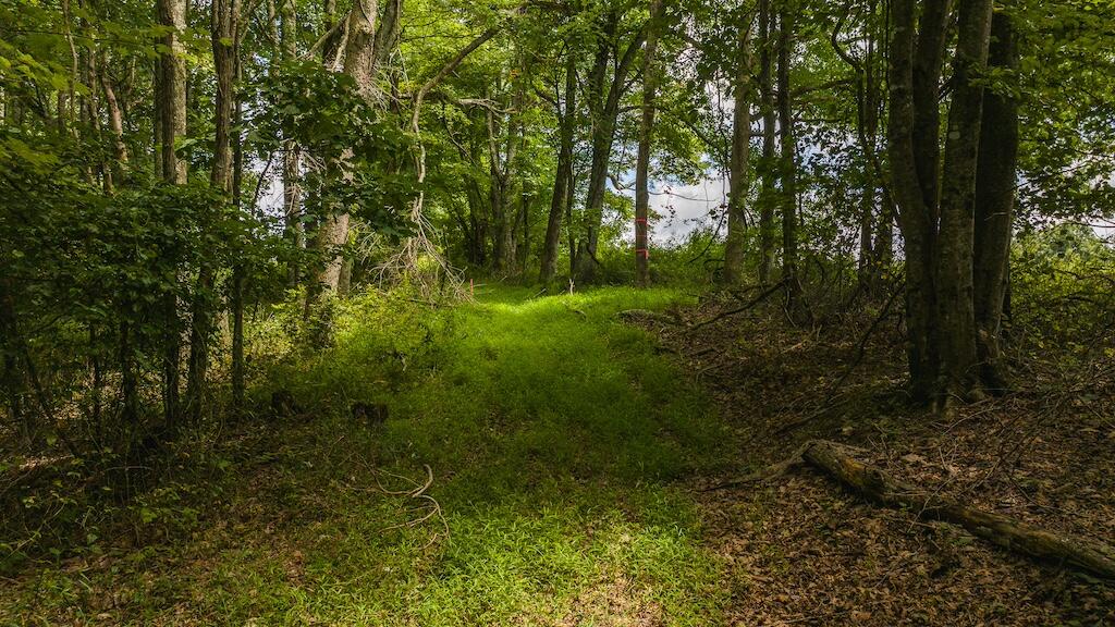 Football Ln, Laurel Fork, Virginia image 24