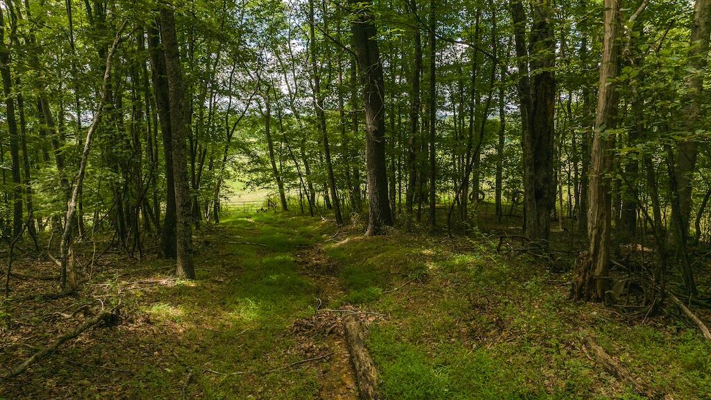 Football Ln, Laurel Fork, Virginia image 18