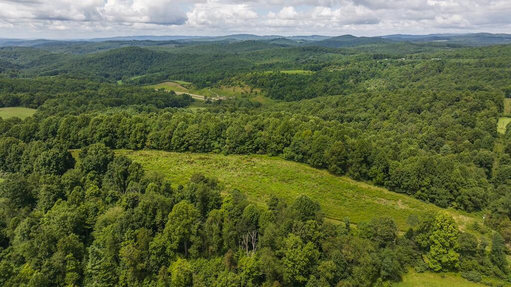 Football Ln, Laurel Fork, Virginia image 31