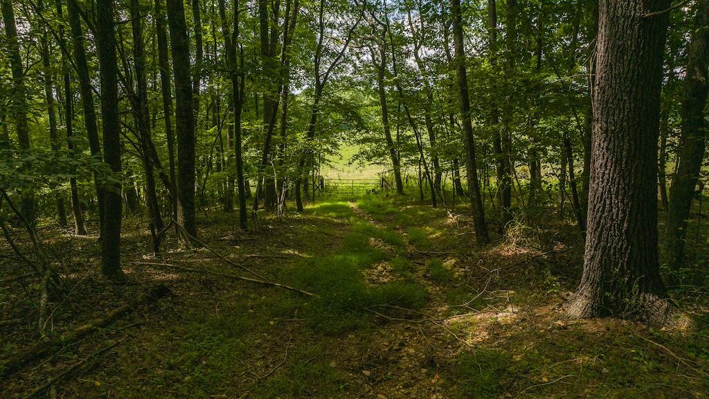 Football Ln, Laurel Fork, Virginia image 19