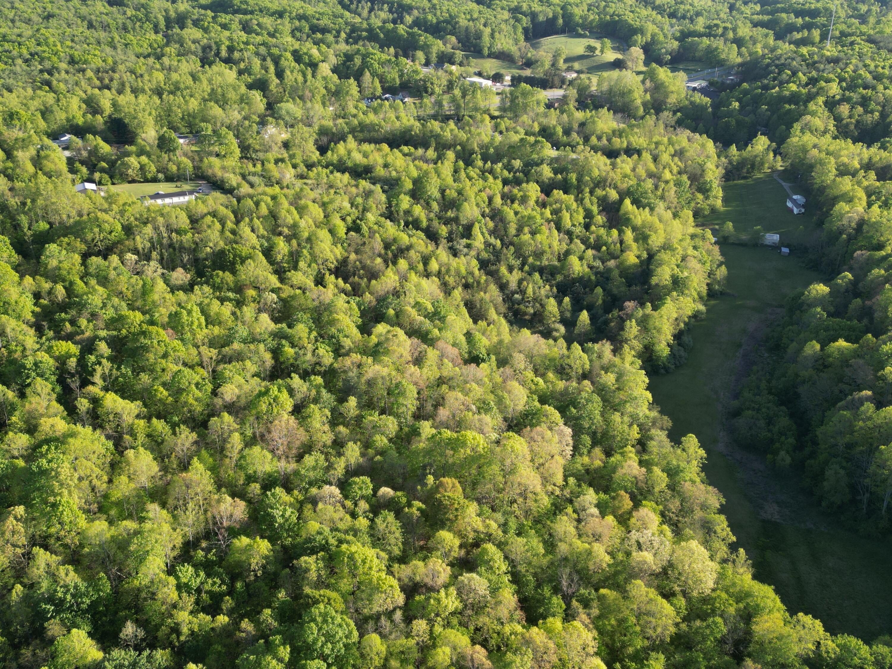 Virgil H Goode Hwy, Rocky Mount, Virginia image 18