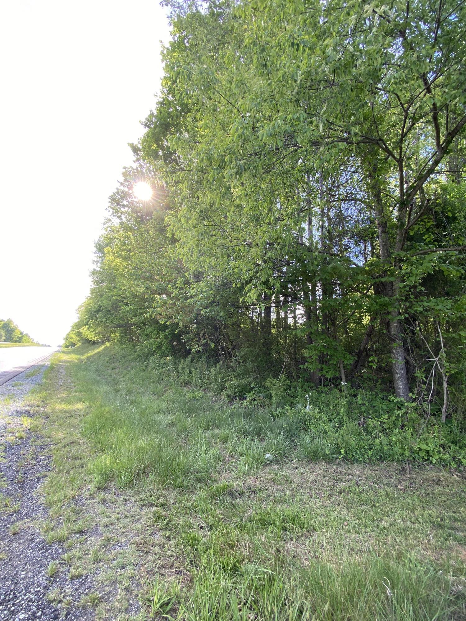 Virgil H Goode Hwy, Rocky Mount, Virginia image 11