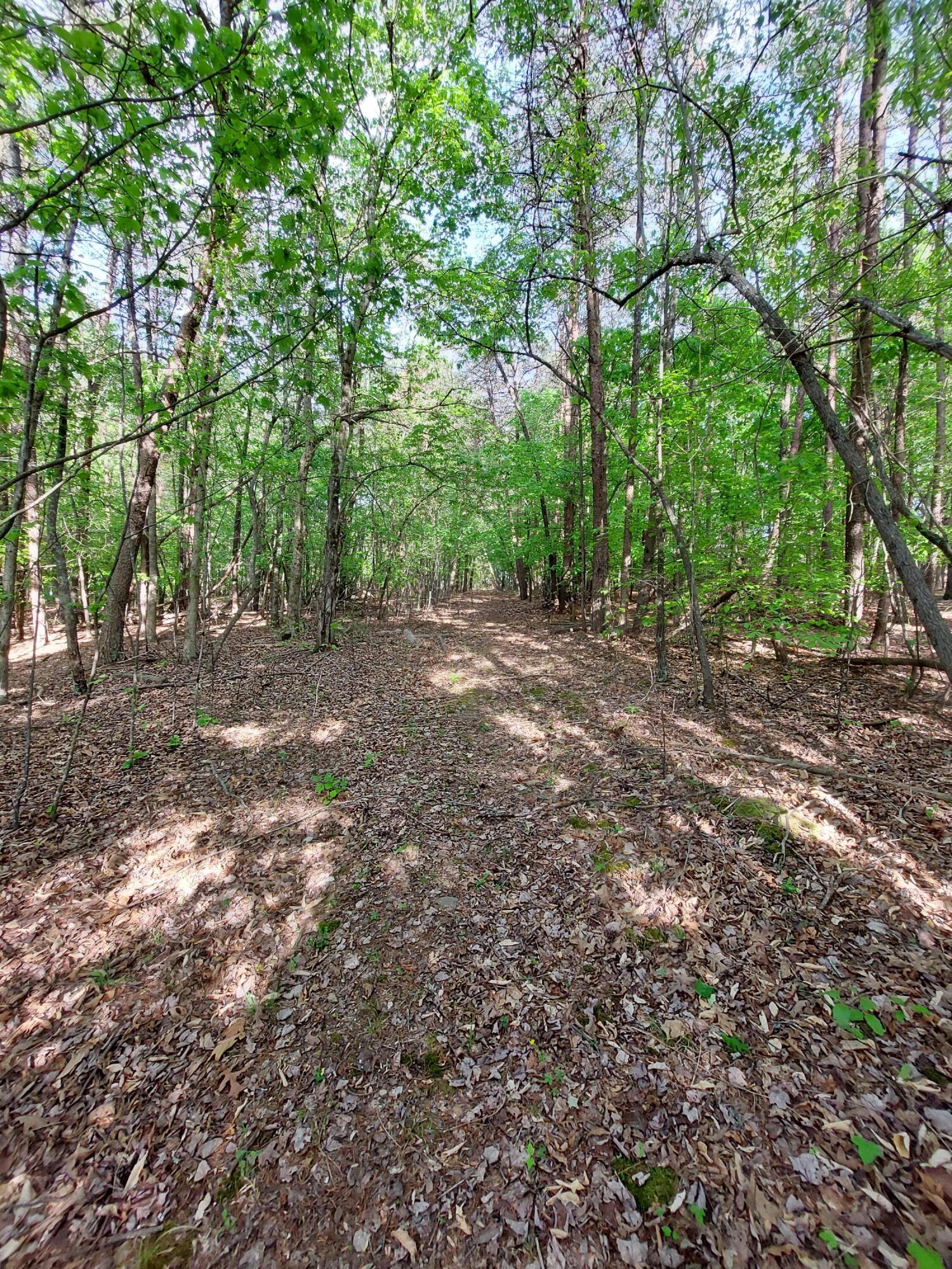 Virgil H Goode Hwy, Rocky Mount, Virginia image 4
