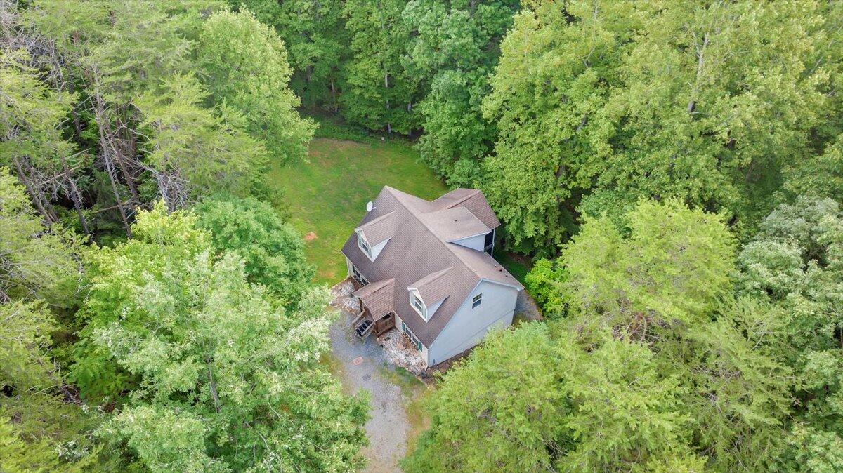 1113 Striper Ct, Moneta, Virginia image 40