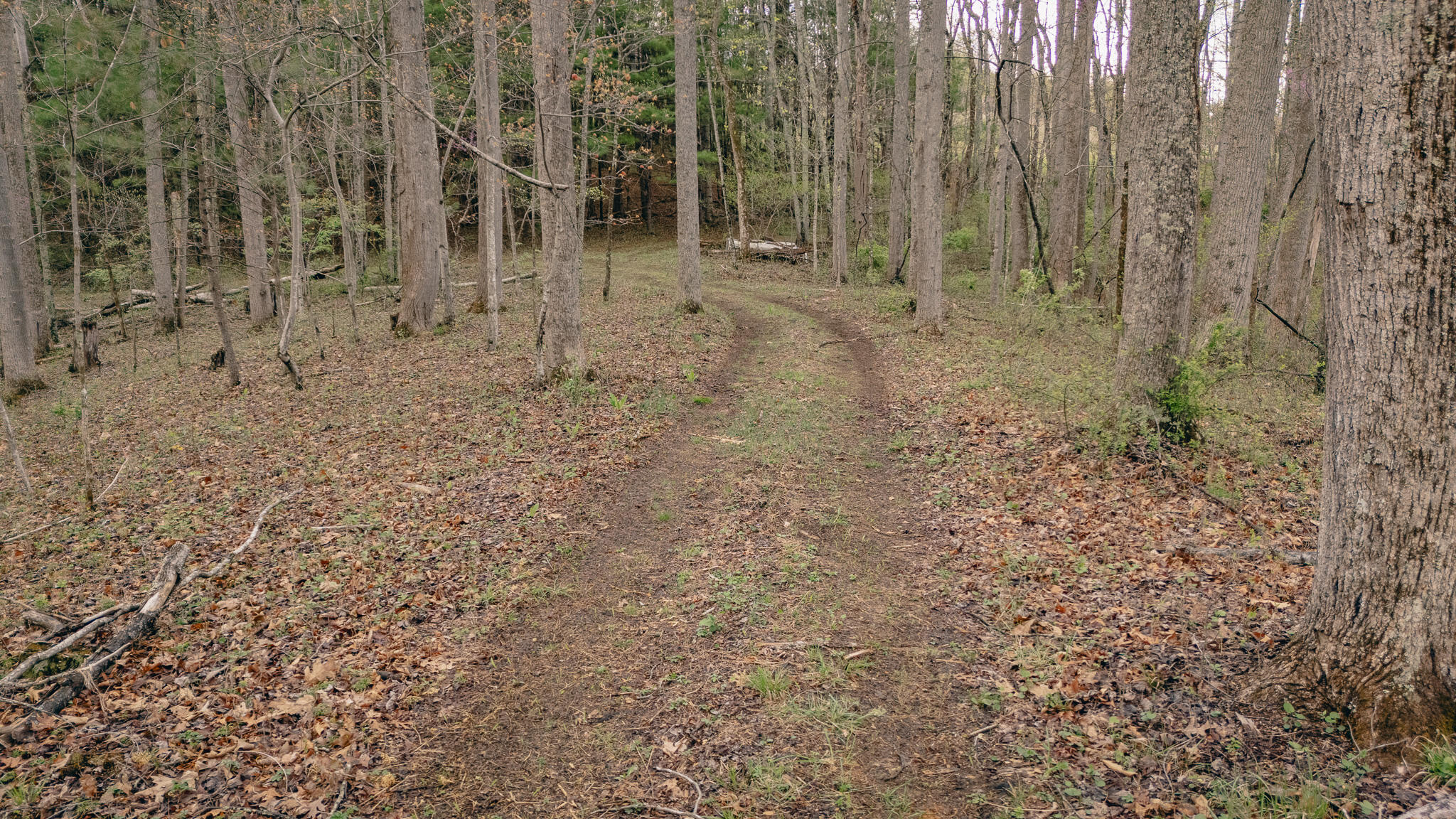 4048 Cabin Land Dr, Radford, Ohio image 9