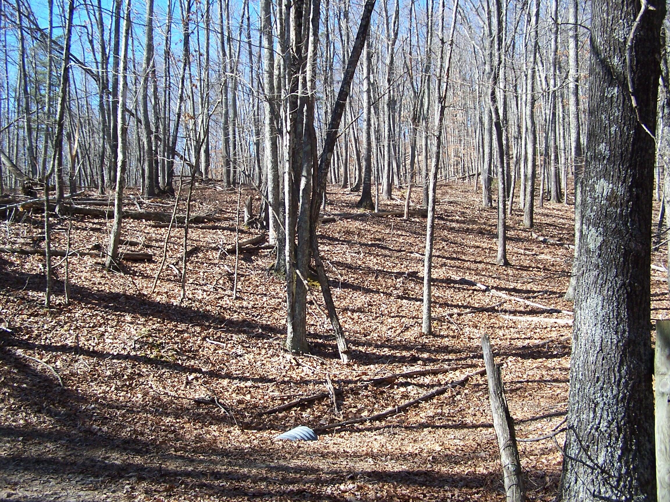 Photo 13 of 57 of 0 Southside RD land