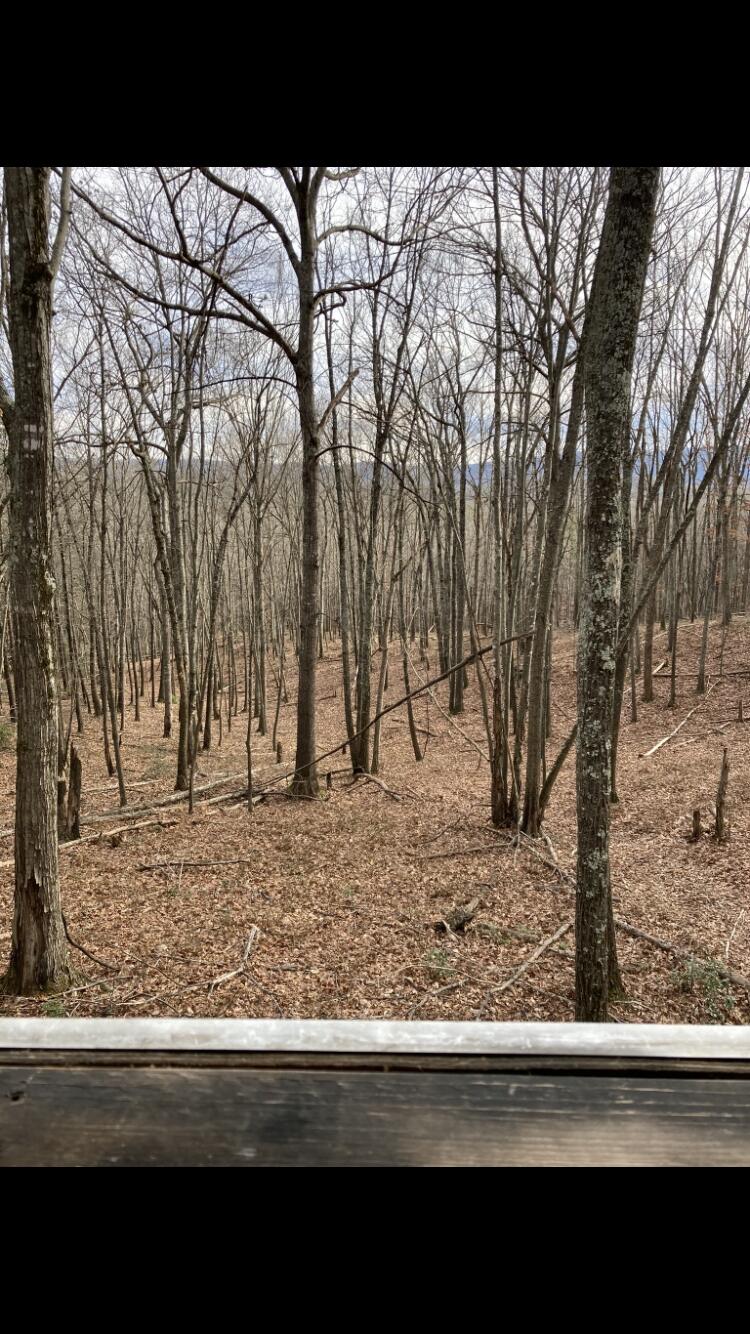 Photo 12 of 57 of 0 Southside RD land