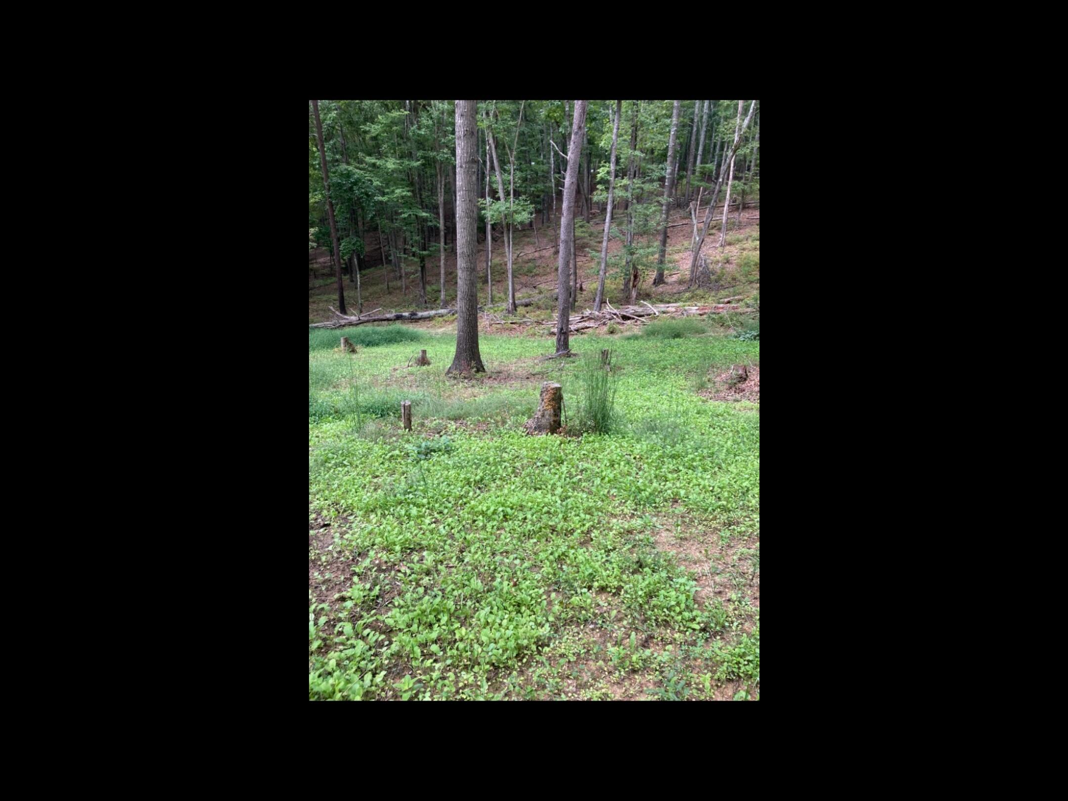 Photo 57 of 57 of 0 Southside RD land