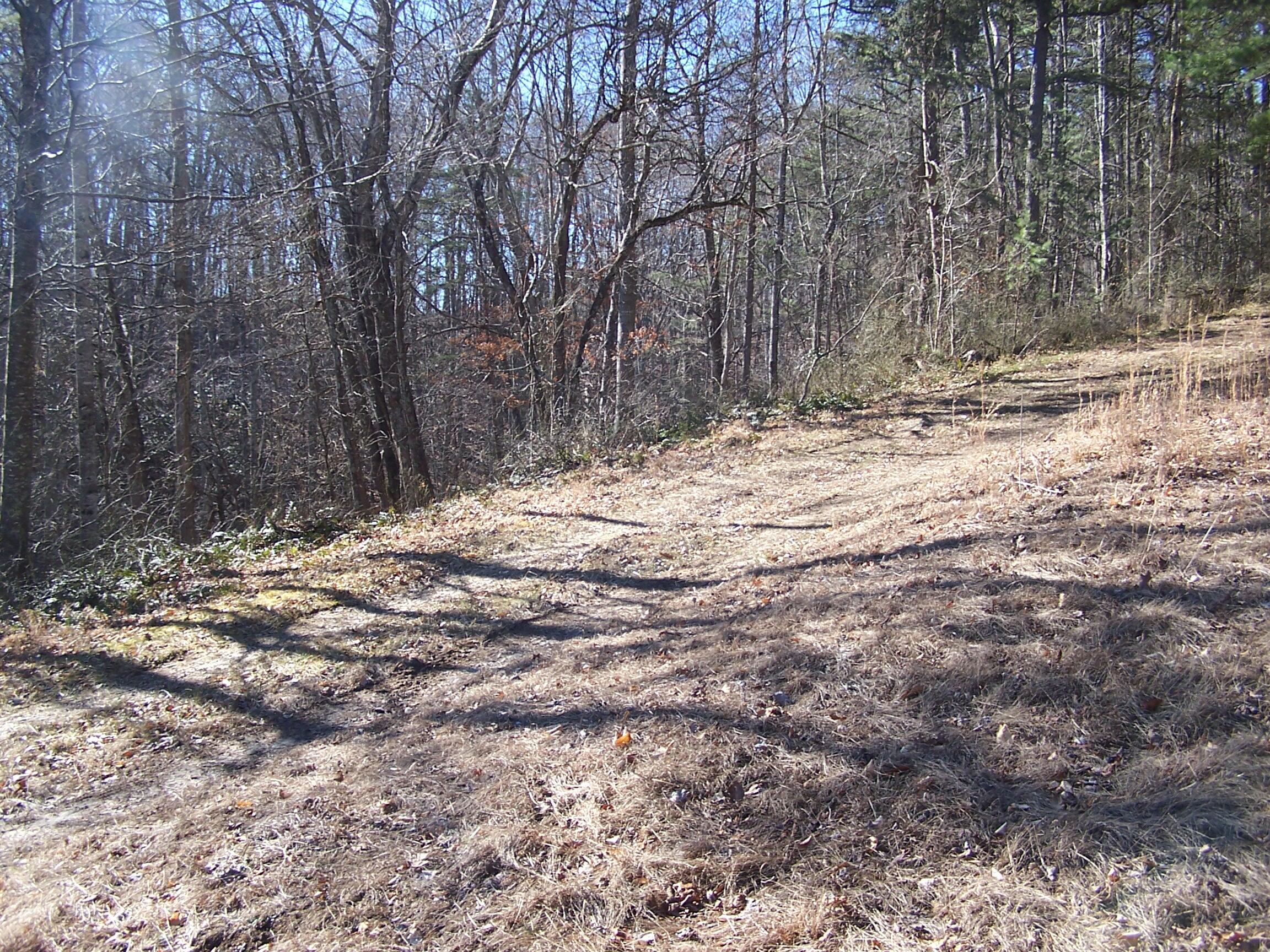 Photo 9 of 57 of 0 Southside RD land